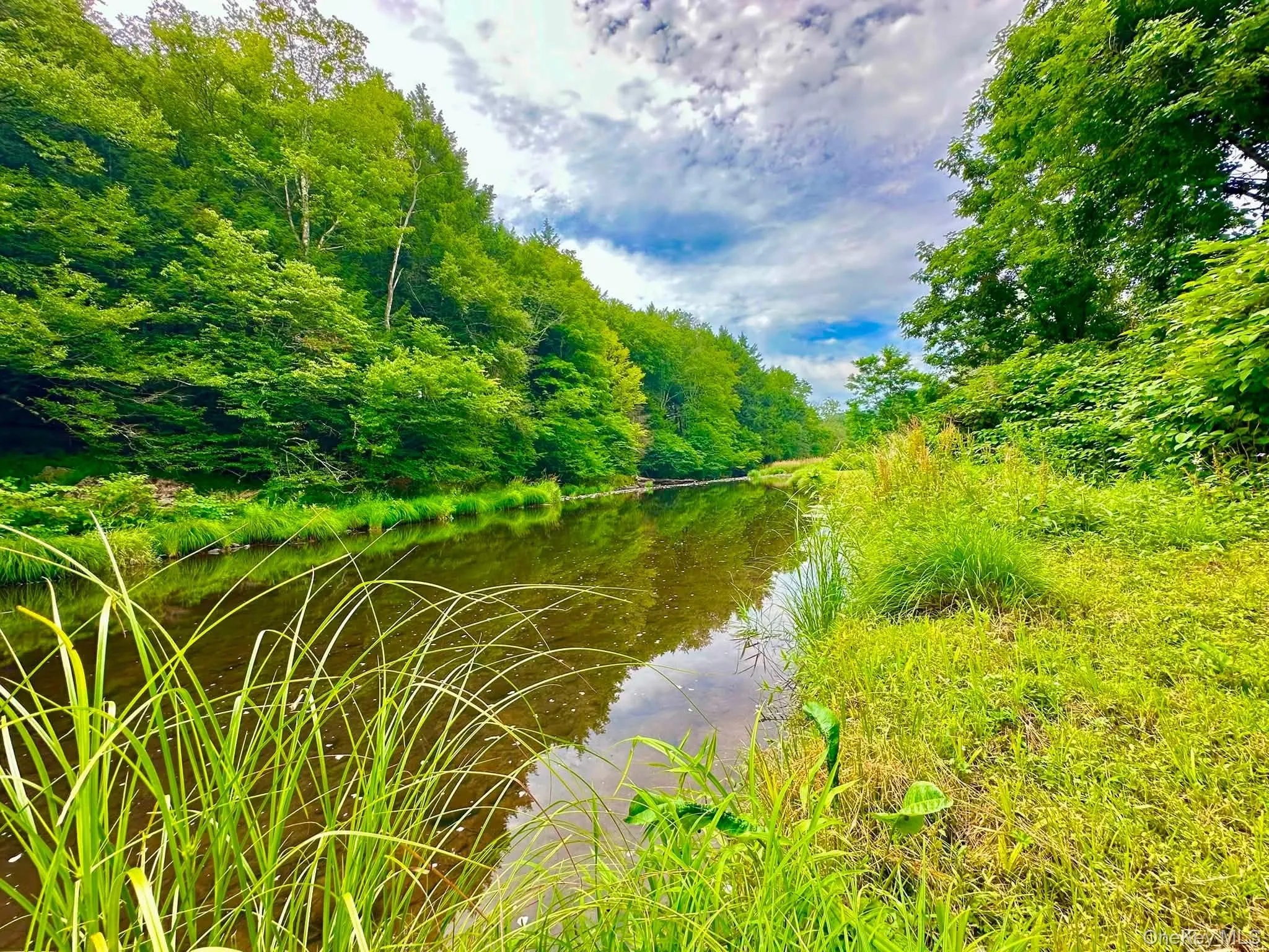 5089 State Route 52, Delaware, NY, 3 Bedrooms Bedrooms, 6 Rooms Rooms,2 BathroomsBathrooms,Residential,For Rent,State Route 52,0,1027722 5089 State Route 52, Delaware, NY, 3 Bedrooms Bedrooms, 6 Rooms Rooms,2 BathroomsBathrooms,Residential,For Rent,State Route 52,0,1027722