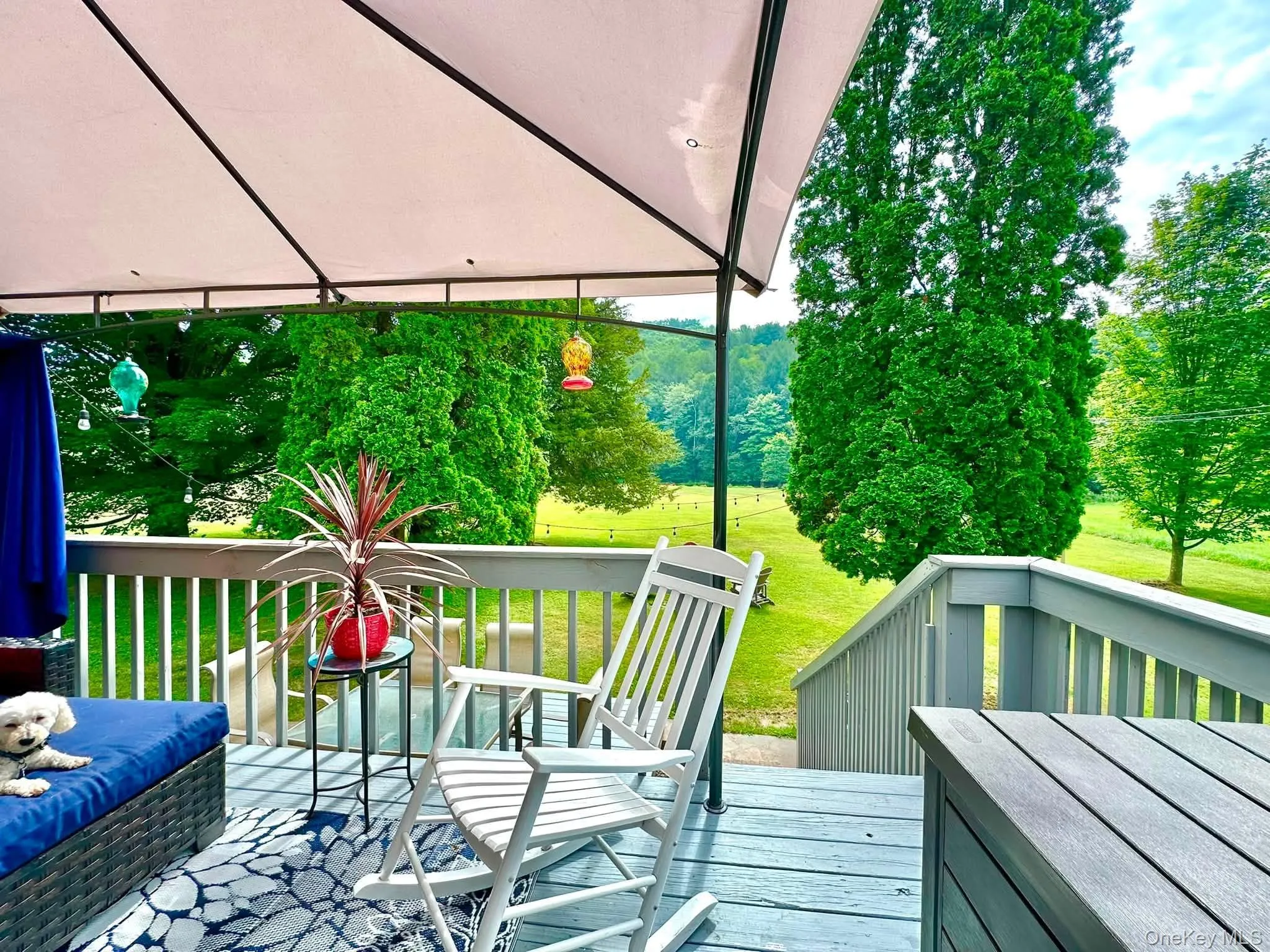 5089 State Route 52, Delaware, NY, 3 Bedrooms Bedrooms, 6 Rooms Rooms,2 BathroomsBathrooms,Residential,For Rent,State Route 52,0,1027722 5089 State Route 52, Delaware, NY, 3 Bedrooms Bedrooms, 6 Rooms Rooms,2 BathroomsBathrooms,Residential,For Rent,State Route 52,0,1027722