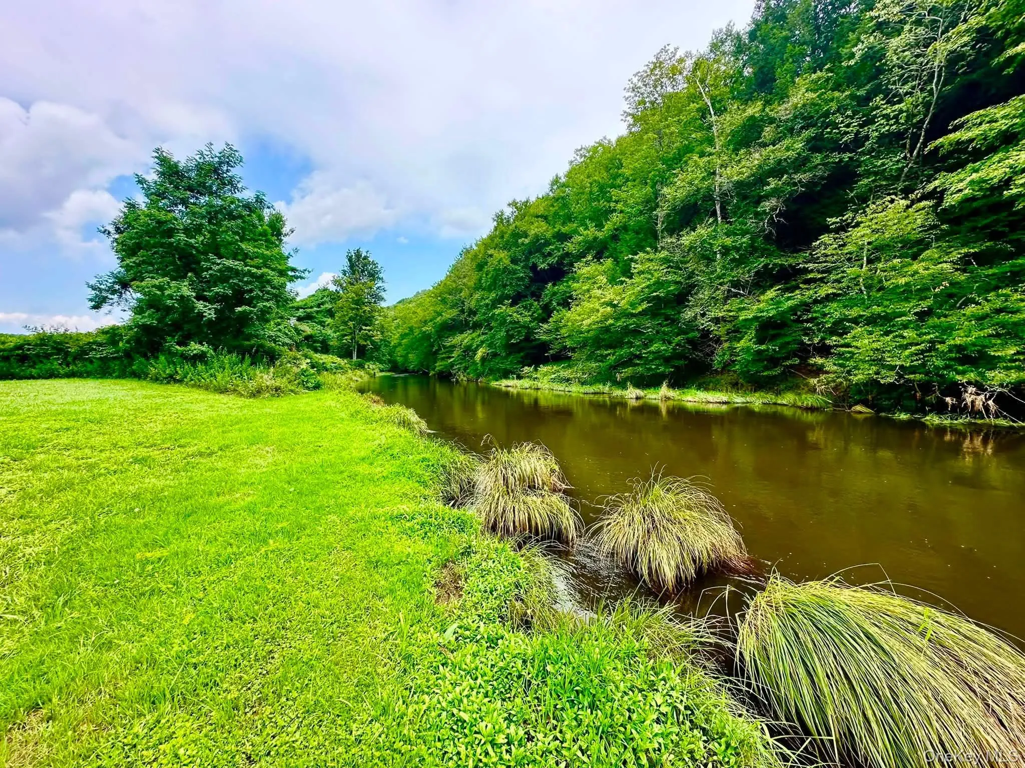 5089 State Route 52, Delaware, NY, 3 Bedrooms Bedrooms, 6 Rooms Rooms,2 BathroomsBathrooms,Residential,For Rent,State Route 52,0,1027722 5089 State Route 52, Delaware, NY, 3 Bedrooms Bedrooms, 6 Rooms Rooms,2 BathroomsBathrooms,Residential,For Rent,State Route 52,0,1027722