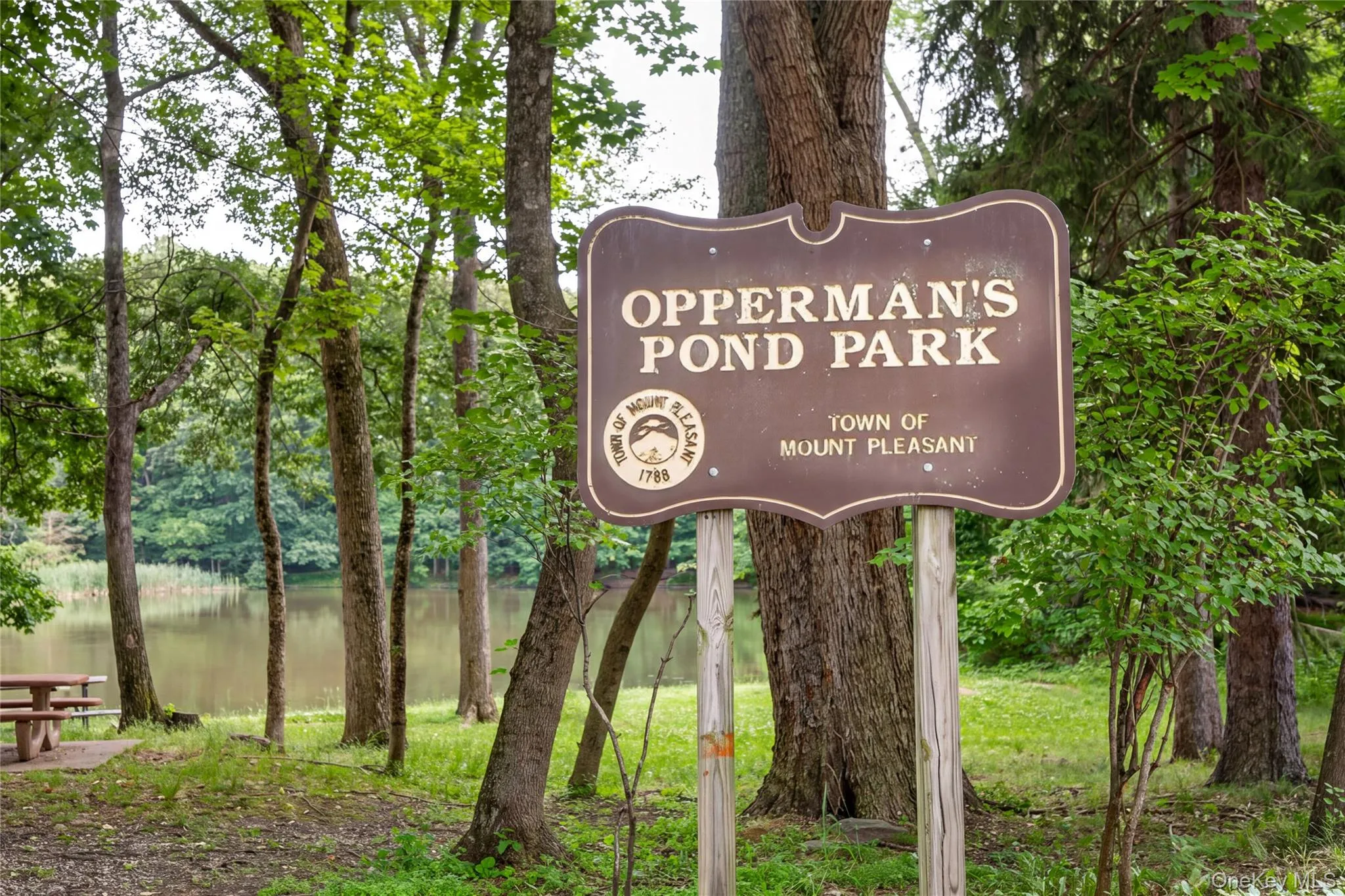 Opperman's Pond Literally down the Street Opperman's Pond Literally down the Street