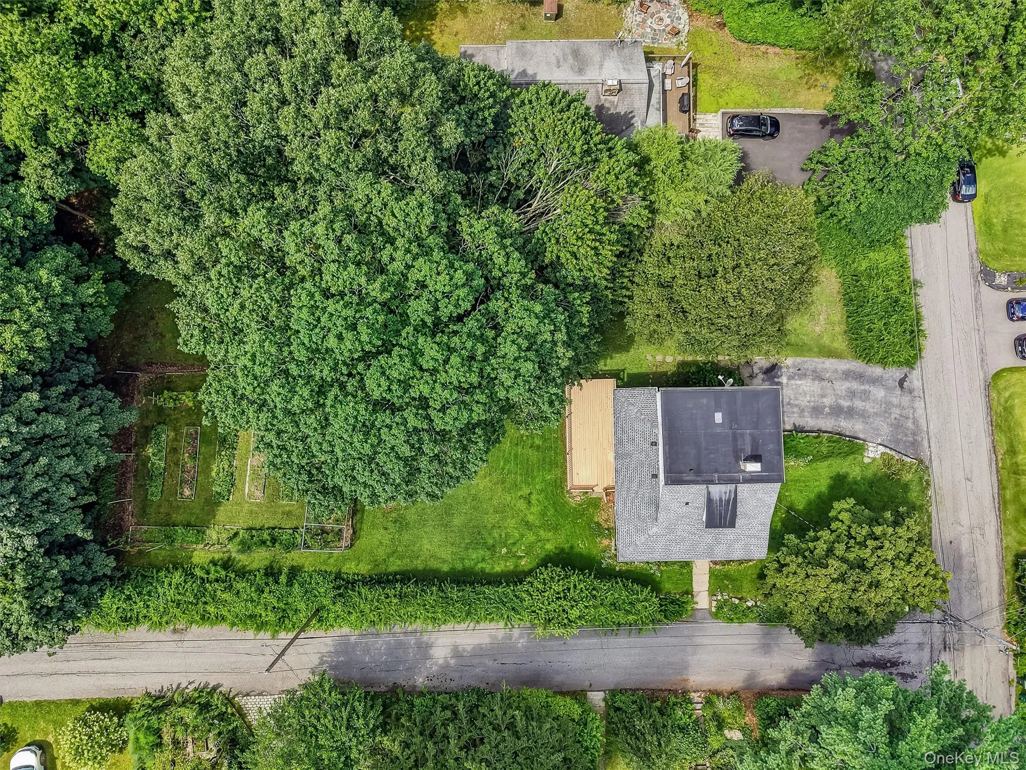 Expansive property featuring mature trees and established garden beds Expansive property featuring mature trees and established garden beds