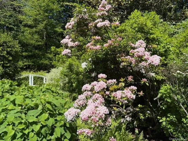 336 Smith Ridge Road, Lewisboro, NY, 3 Bedrooms Bedrooms, 8 Rooms Rooms,3 BathroomsBathrooms,Residential,For Rent,Smith Ridge,0,1027772 336 Smith Ridge Road, Lewisboro, NY, 3 Bedrooms Bedrooms, 8 Rooms Rooms,3 BathroomsBathrooms,Residential,For Rent,Smith Ridge,0,1027772