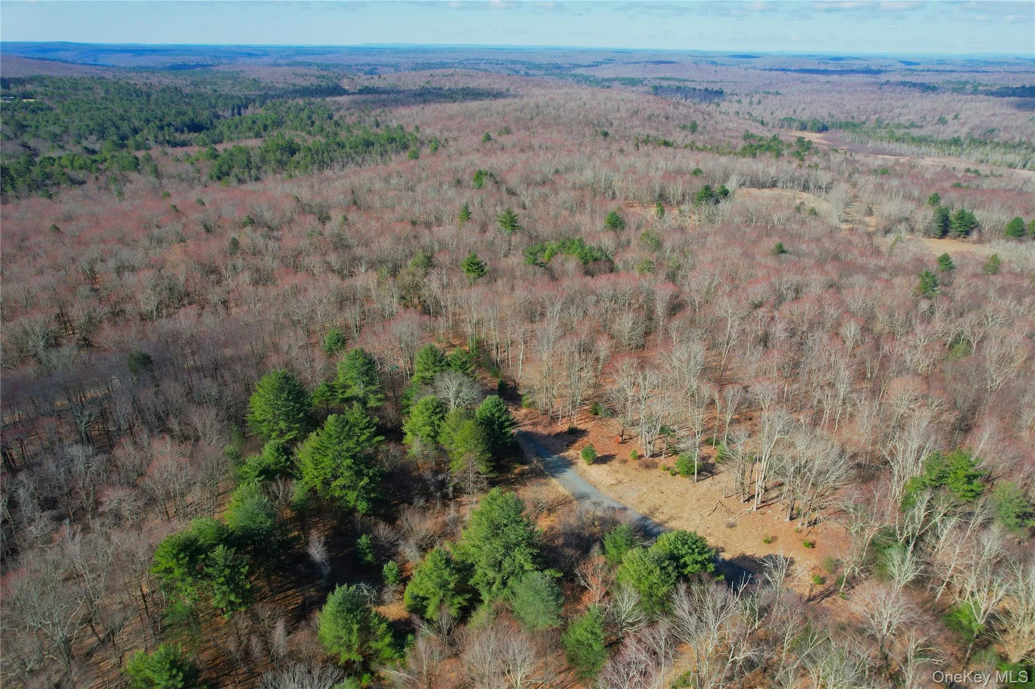 TBD Hilltop Road, Thompson, NY, ,Land,For Rent,Hilltop,0,1027805 TBD Hilltop Road, Thompson, NY, ,Land,For Rent,Hilltop,0,1027805