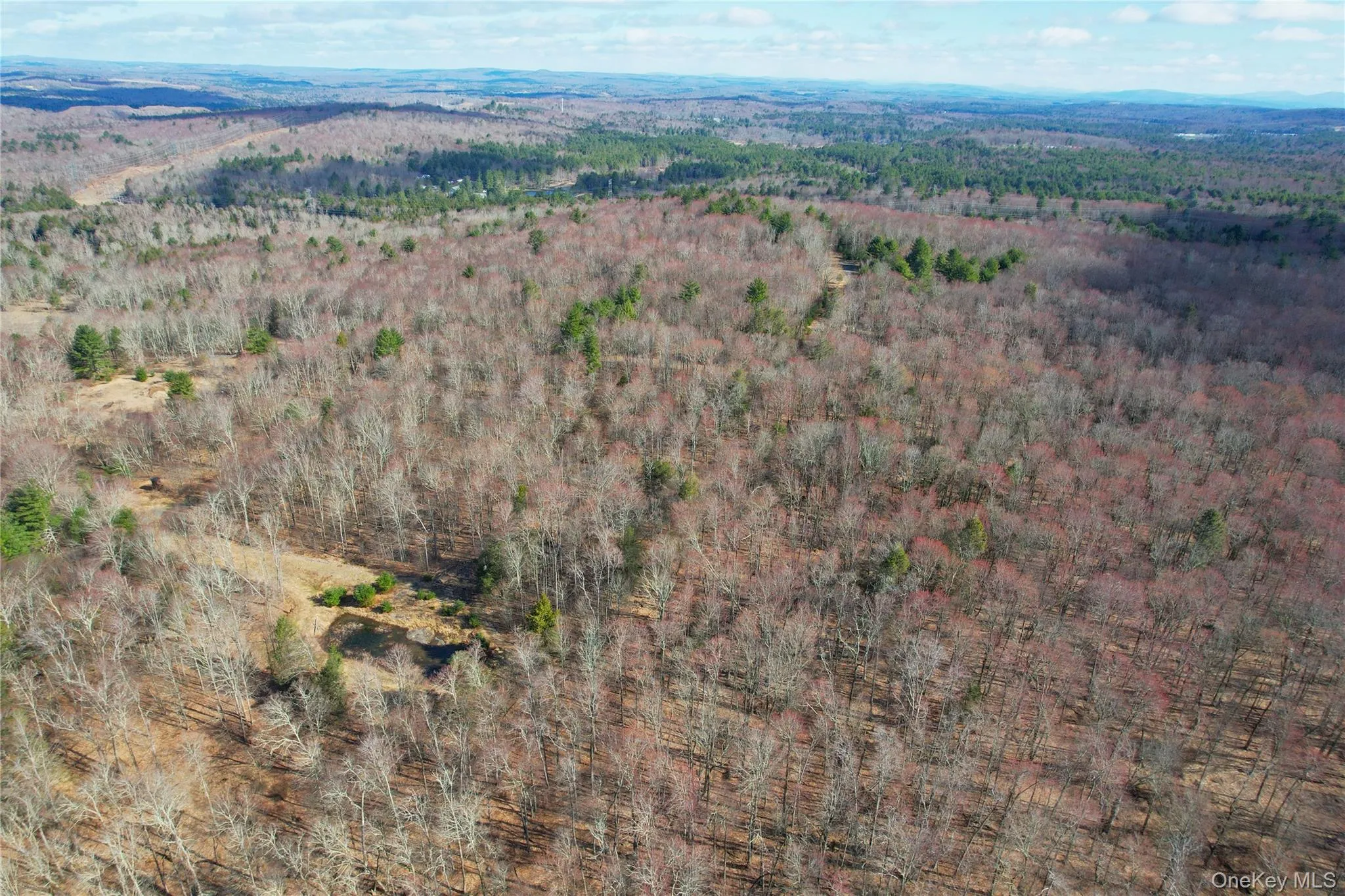 TBD Hilltop Road, Thompson, NY, ,Land,For Rent,Hilltop,0,1027805 TBD Hilltop Road, Thompson, NY, ,Land,For Rent,Hilltop,0,1027805