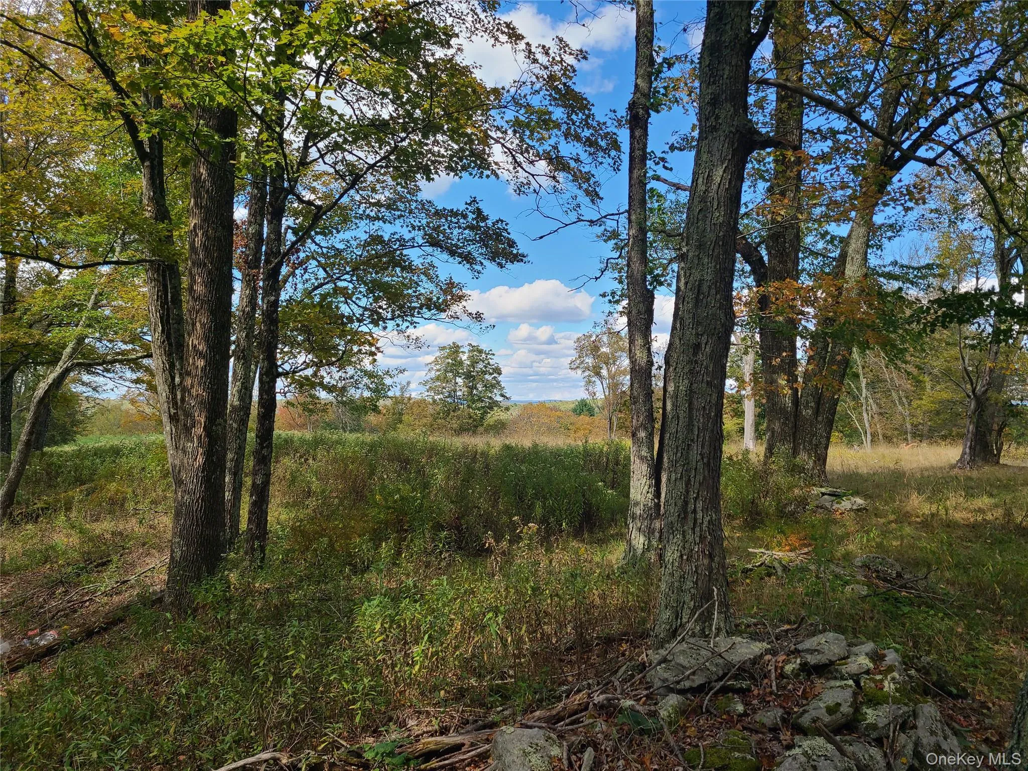 TBD Hilltop Road, Thompson, NY, ,Land,For Rent,Hilltop,0,1027805 TBD Hilltop Road, Thompson, NY, ,Land,For Rent,Hilltop,0,1027805