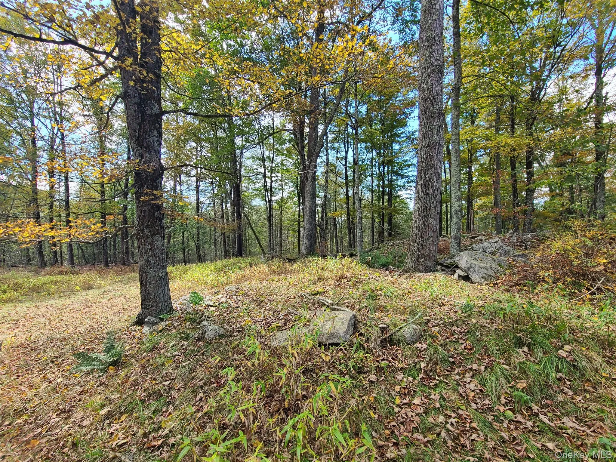 TBD Hilltop Road, Thompson, NY, ,Land,For Rent,Hilltop,0,1027805 TBD Hilltop Road, Thompson, NY, ,Land,For Rent,Hilltop,0,1027805