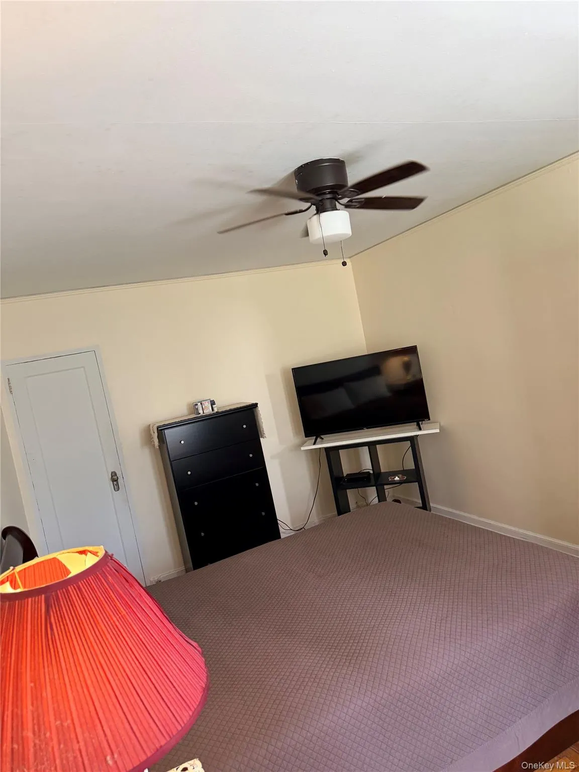 101 Ellwood Avenue, Mount Vernon, NY, 1 Bedroom Bedrooms, 4 Rooms Rooms,1 BathroomBathrooms,Residential,For Rent,Ellwood,0,1027833 101 Ellwood Avenue, Mount Vernon, NY, 1 Bedroom Bedrooms, 4 Rooms Rooms,1 BathroomBathrooms,Residential,For Rent,Ellwood,0,1027833