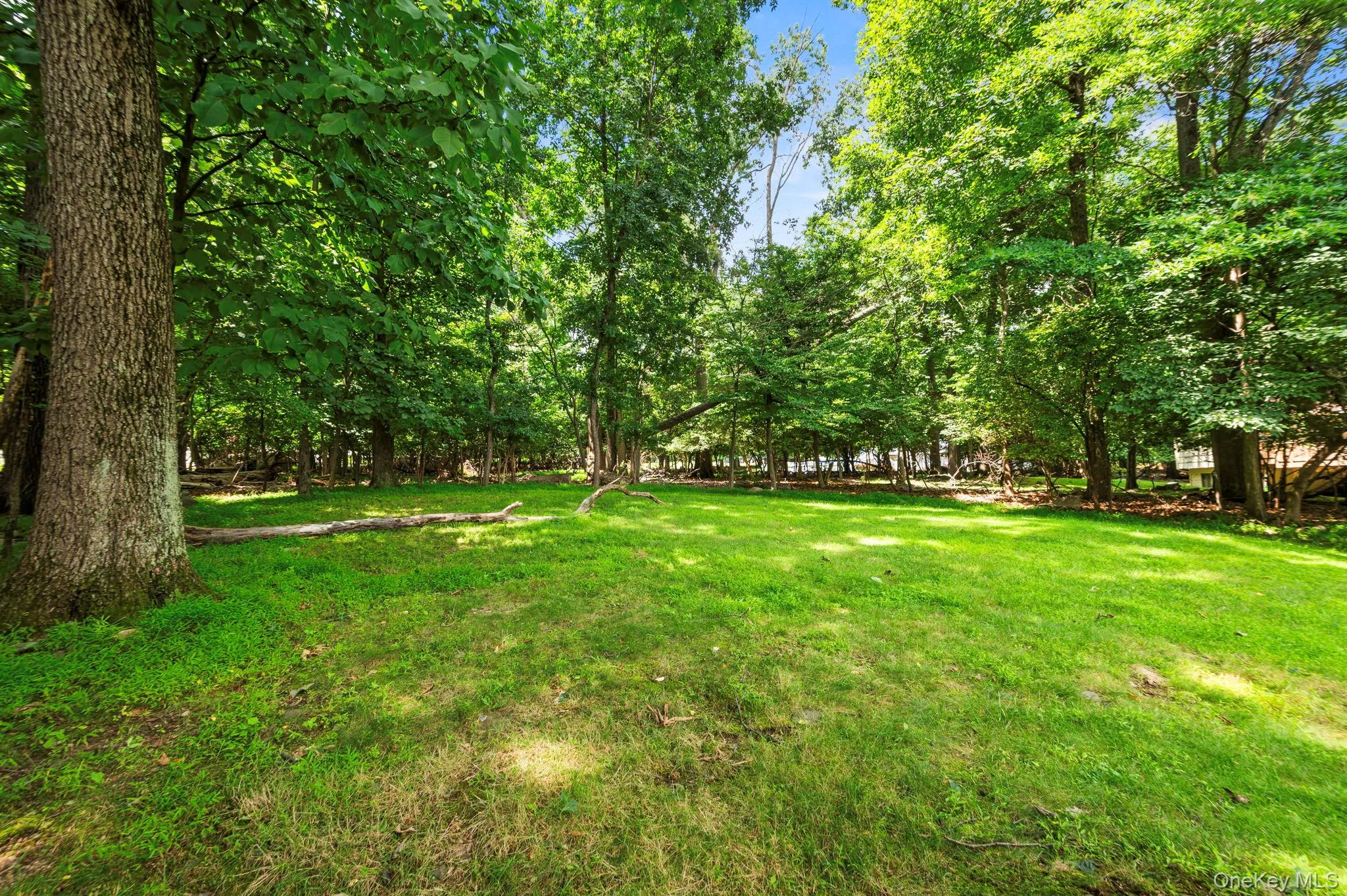 25 Ackerman Avenue, Ramapo, NY, 4 Bedrooms Bedrooms, 8 Rooms Rooms,3 BathroomsBathrooms,Residential,For Rent,Ackerman,0,1027879 25 Ackerman Avenue, Ramapo, NY, 4 Bedrooms Bedrooms, 8 Rooms Rooms,3 BathroomsBathrooms,Residential,For Rent,Ackerman,0,1027879