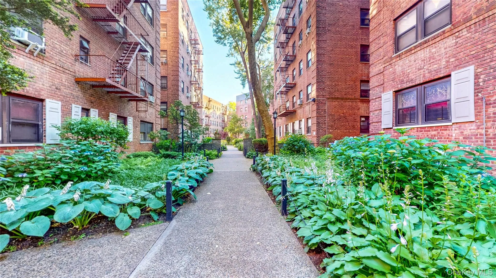 Landscaped courtyard path featuring mature trees and established plantings Landscaped courtyard path featuring mature trees and established plantings