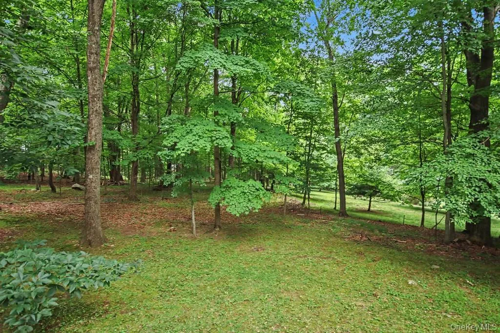59 Cuddy Road, Carmel, NY, 4 Bedrooms Bedrooms, 8 Rooms Rooms,2 BathroomsBathrooms,Residential,For Rent,Cuddy,0,1027916 59 Cuddy Road, Carmel, NY, 4 Bedrooms Bedrooms, 8 Rooms Rooms,2 BathroomsBathrooms,Residential,For Rent,Cuddy,0,1027916