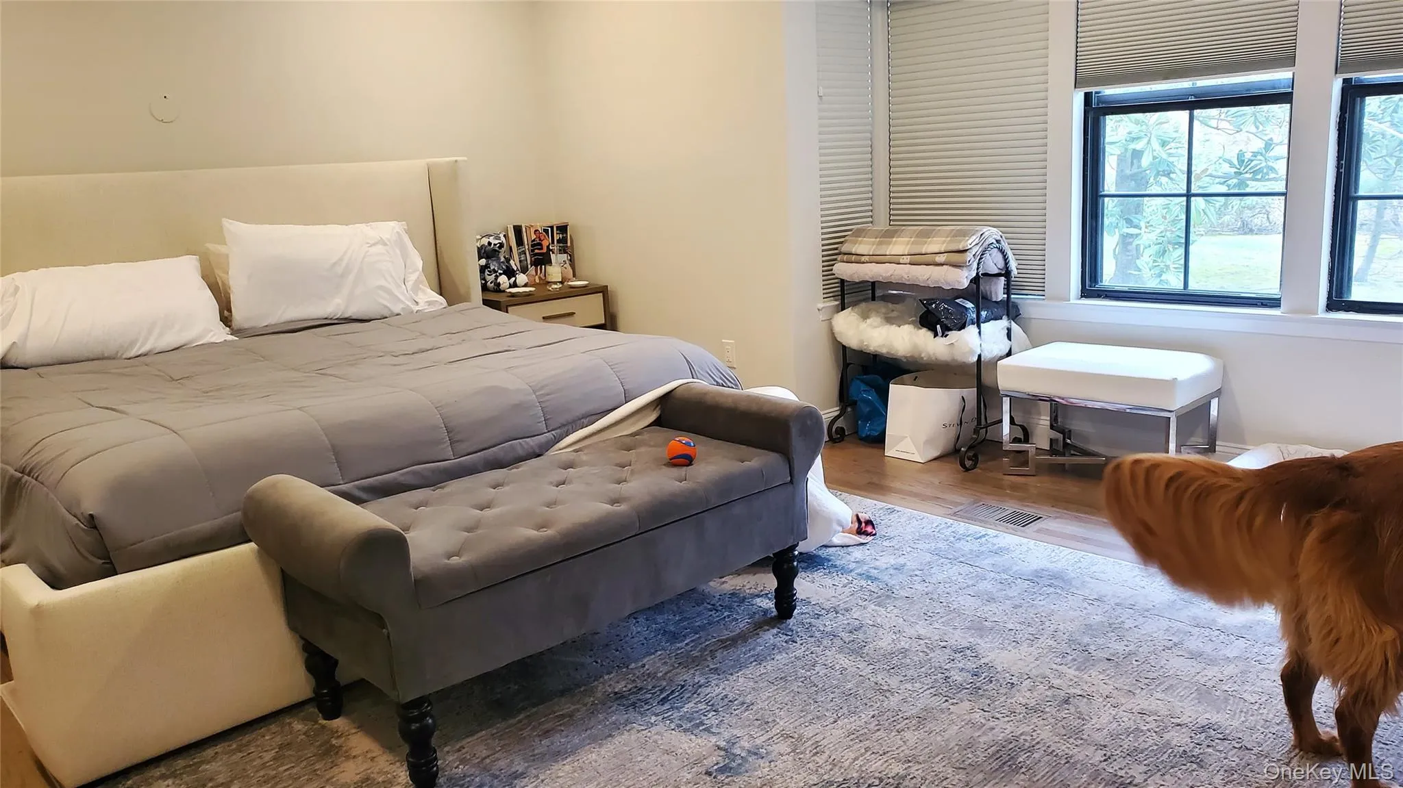 160 Dove Hill Drive, North Hempstead, NY, 2 Bedrooms Bedrooms, 6 Rooms Rooms,2 BathroomsBathrooms,Residential Lease,For Rent,Dove Hill,0,1027917 160 Dove Hill Drive, North Hempstead, NY, 2 Bedrooms Bedrooms, 6 Rooms Rooms,2 BathroomsBathrooms,Residential Lease,For Rent,Dove Hill,0,1027917