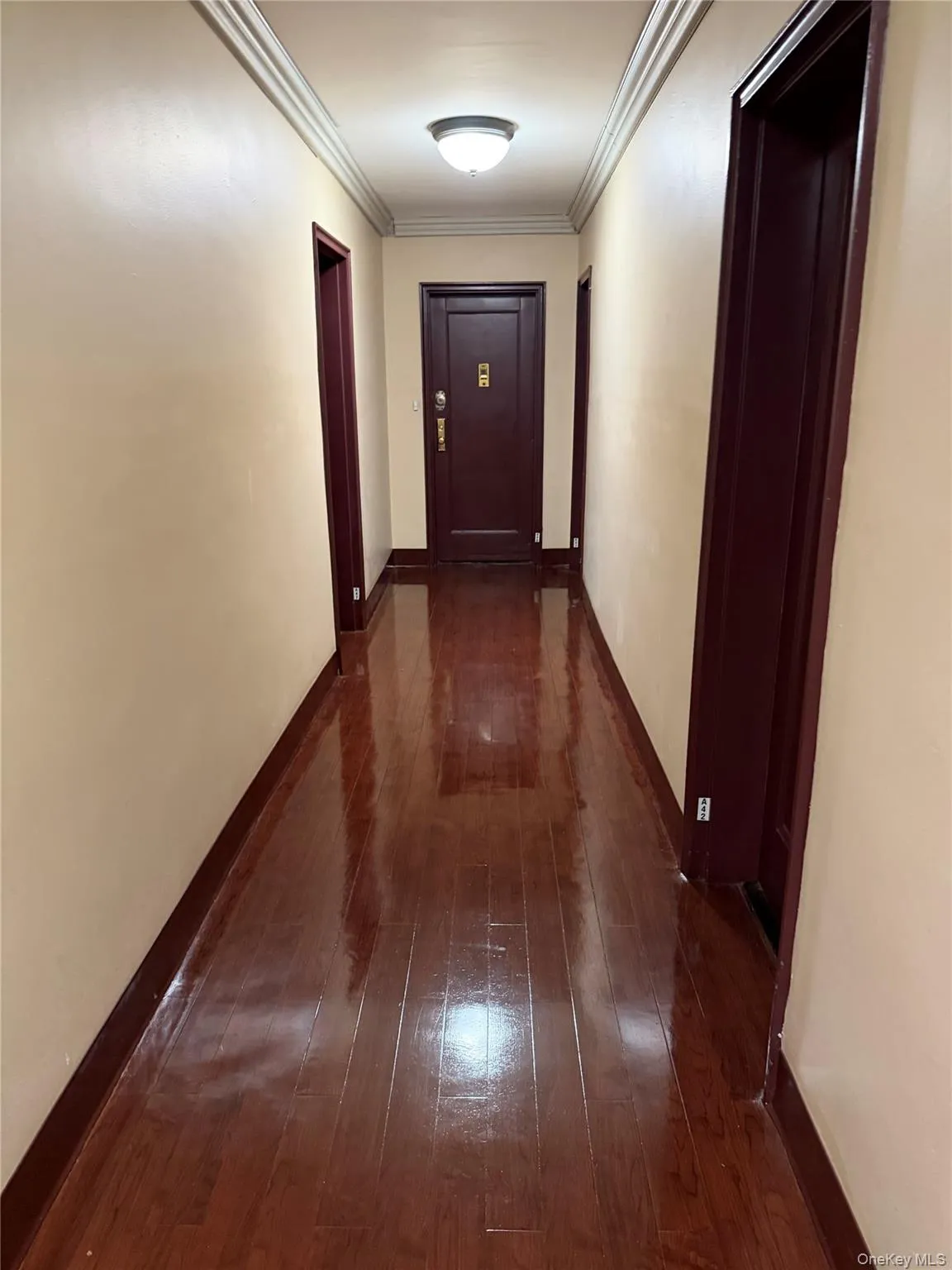 Well maintained hallway Well maintained hallway
