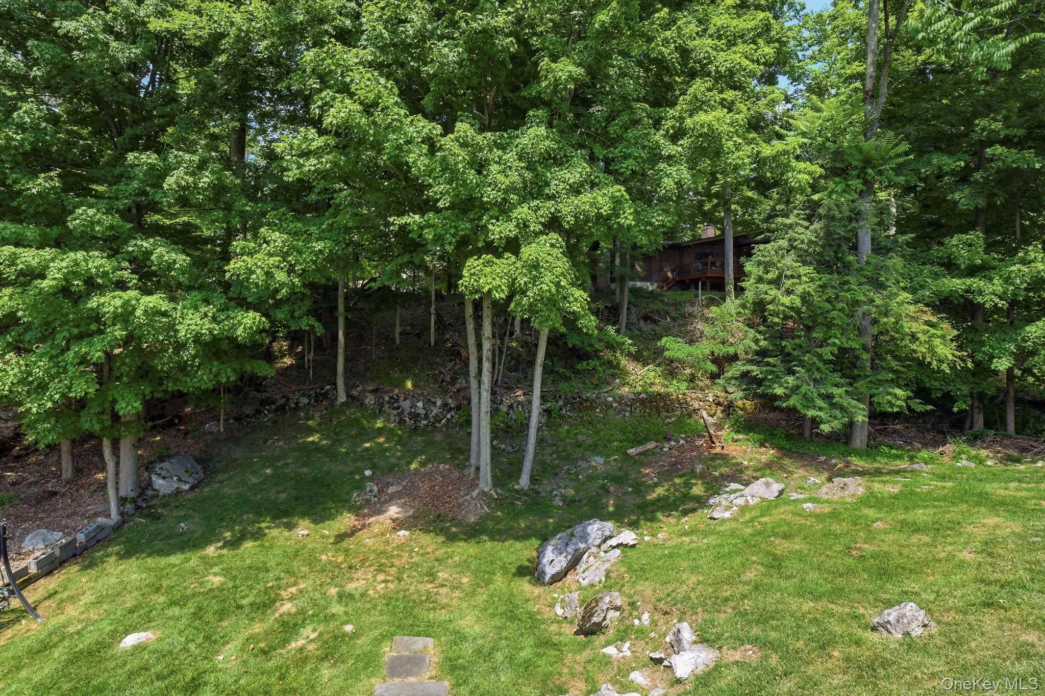 Backyard Backyard