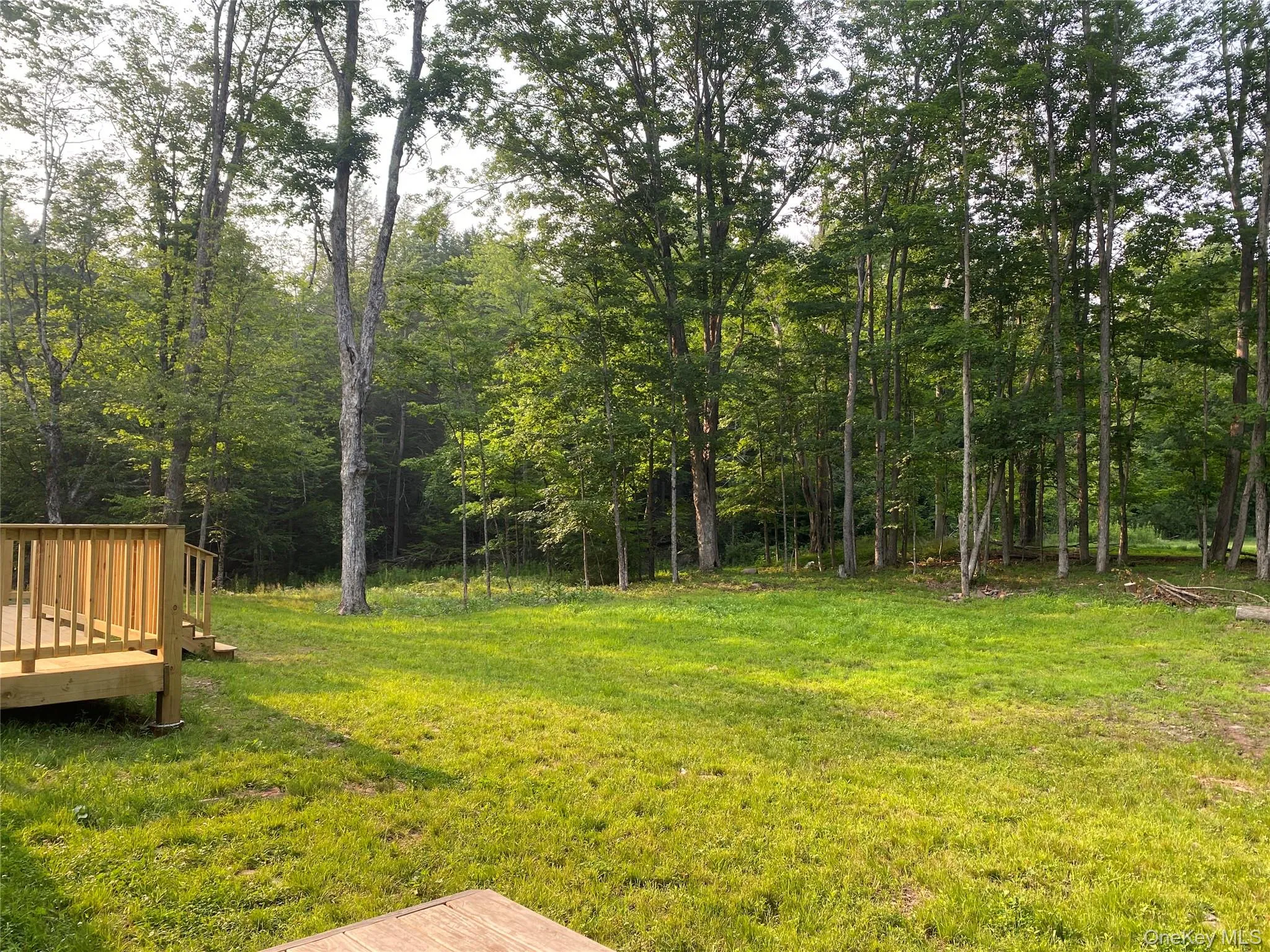 159 Park lane Park Lane, Hunter, NY, 4 Bedrooms Bedrooms, 7 Rooms Rooms,2 BathroomsBathrooms,Residential,For Rent,Park,0,1028040 159 Park lane Park Lane, Hunter, NY, 4 Bedrooms Bedrooms, 7 Rooms Rooms,2 BathroomsBathrooms,Residential,For Rent,Park,0,1028040