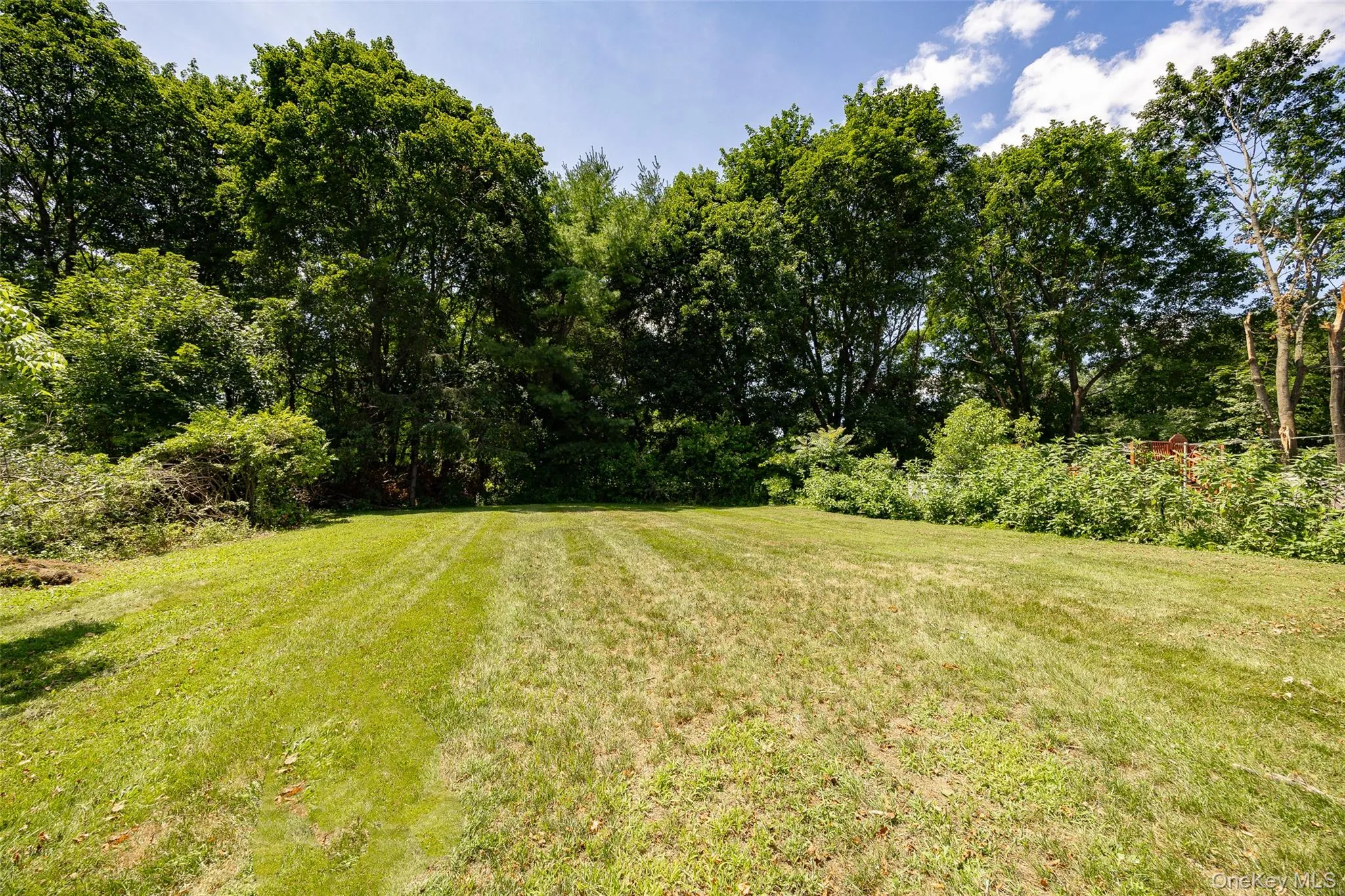 Expansive green lawn surrounded by mature trees and natural landscaping Expansive green lawn surrounded by mature trees and natural landscaping