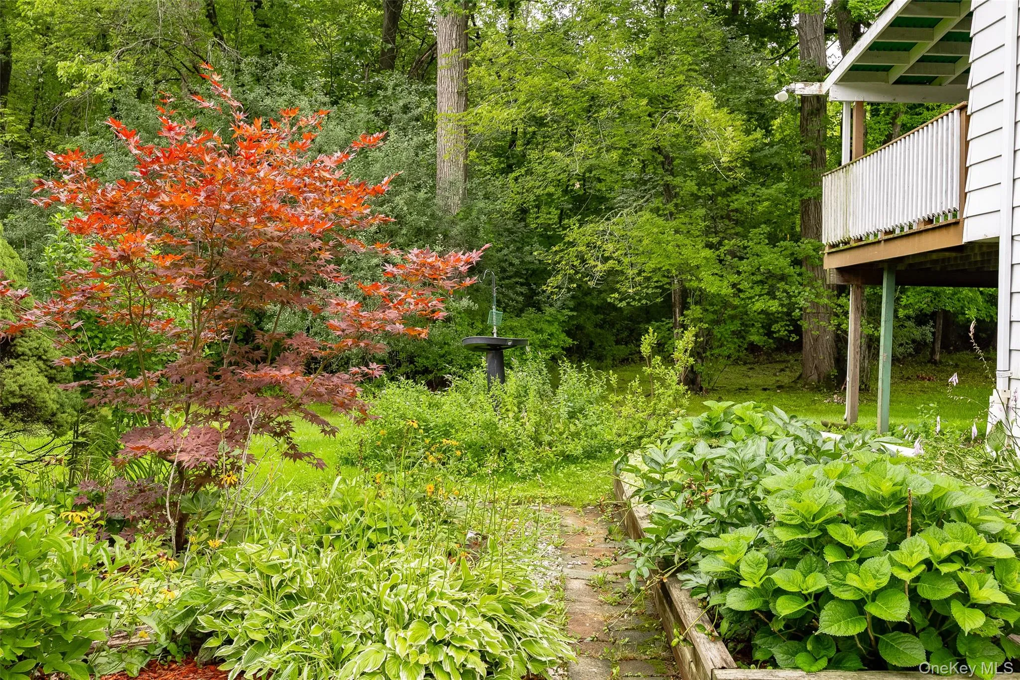 28 Robert Lane, Wappinger, NY, 3 Bedrooms Bedrooms, 11 Rooms Rooms,1 BathroomBathrooms,Residential,For Rent,Robert,0,1028148 28 Robert Lane, Wappinger, NY, 3 Bedrooms Bedrooms, 11 Rooms Rooms,1 BathroomBathrooms,Residential,For Rent,Robert,0,1028148