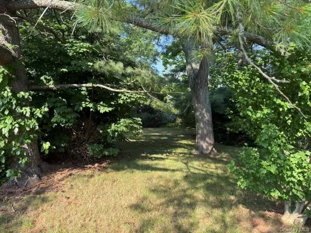 187 Thomas Powell Boulevard, Oyster Bay, NY, 3 Bedrooms Bedrooms, 7 Rooms Rooms,1 BathroomBathrooms,Residential,For Rent,Thomas Powell,0,1028165 187 Thomas Powell Boulevard, Oyster Bay, NY, 3 Bedrooms Bedrooms, 7 Rooms Rooms,1 BathroomBathrooms,Residential,For Rent,Thomas Powell,0,1028165