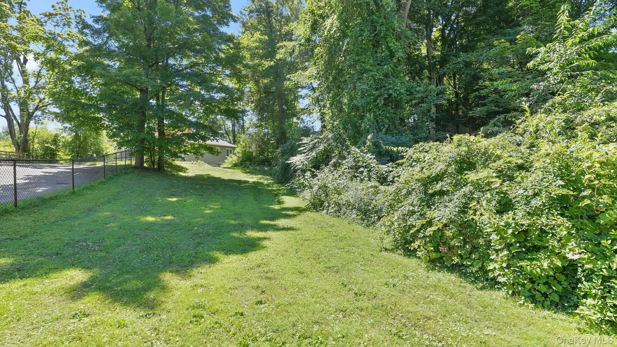 Backyard Backyard