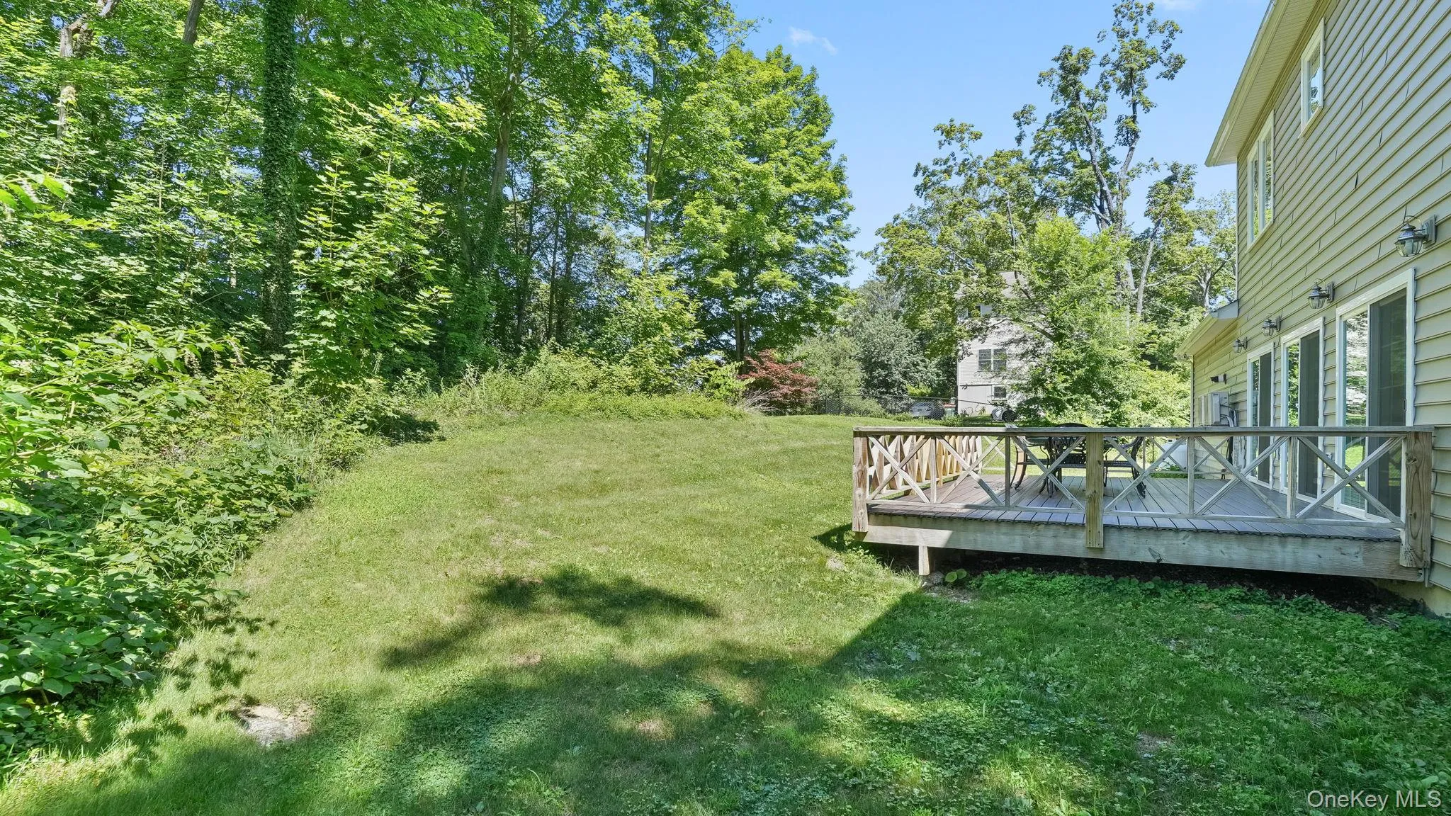 Backyard Backyard