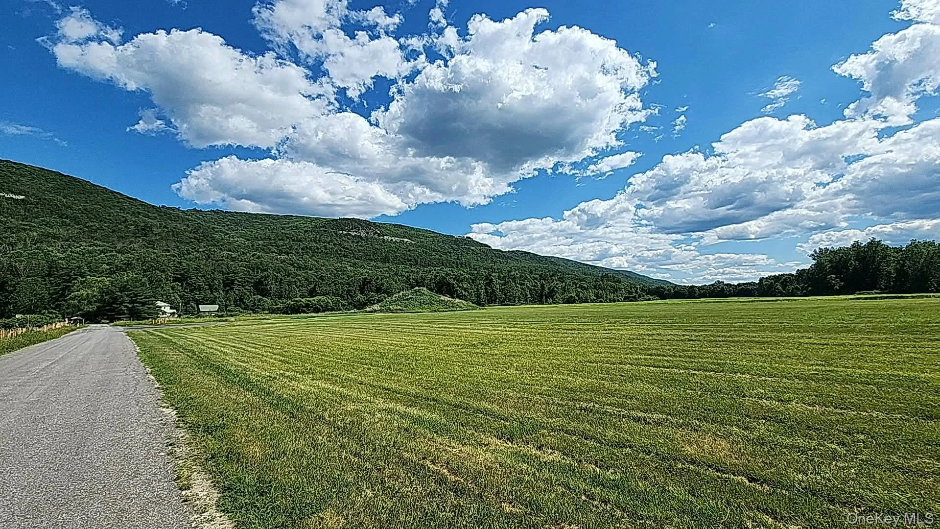 80 Hang Glider Road, Wawarsing, NY, 3 Bedrooms Bedrooms, 8 Rooms Rooms,1 BathroomBathrooms,Residential,For Rent,Hang Glider,0,1028243 80 Hang Glider Road, Wawarsing, NY, 3 Bedrooms Bedrooms, 8 Rooms Rooms,1 BathroomBathrooms,Residential,For Rent,Hang Glider,0,1028243