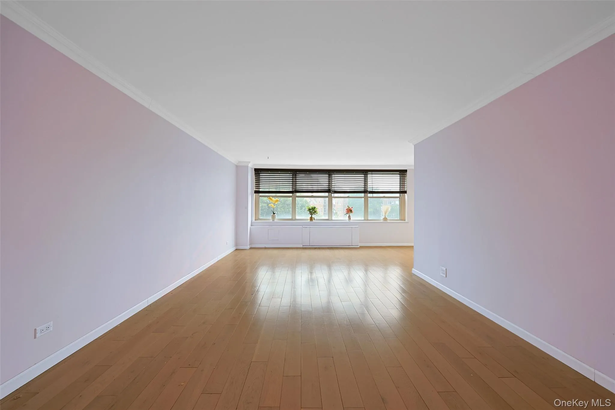 18-65 211th Street, New York, NY, 1 Bedroom Bedrooms, 5 Rooms Rooms,1 BathroomBathrooms,Residential,For Rent,211th,0,1028248 18-65 211th Street, New York, NY, 1 Bedroom Bedrooms, 5 Rooms Rooms,1 BathroomBathrooms,Residential,For Rent,211th,0,1028248