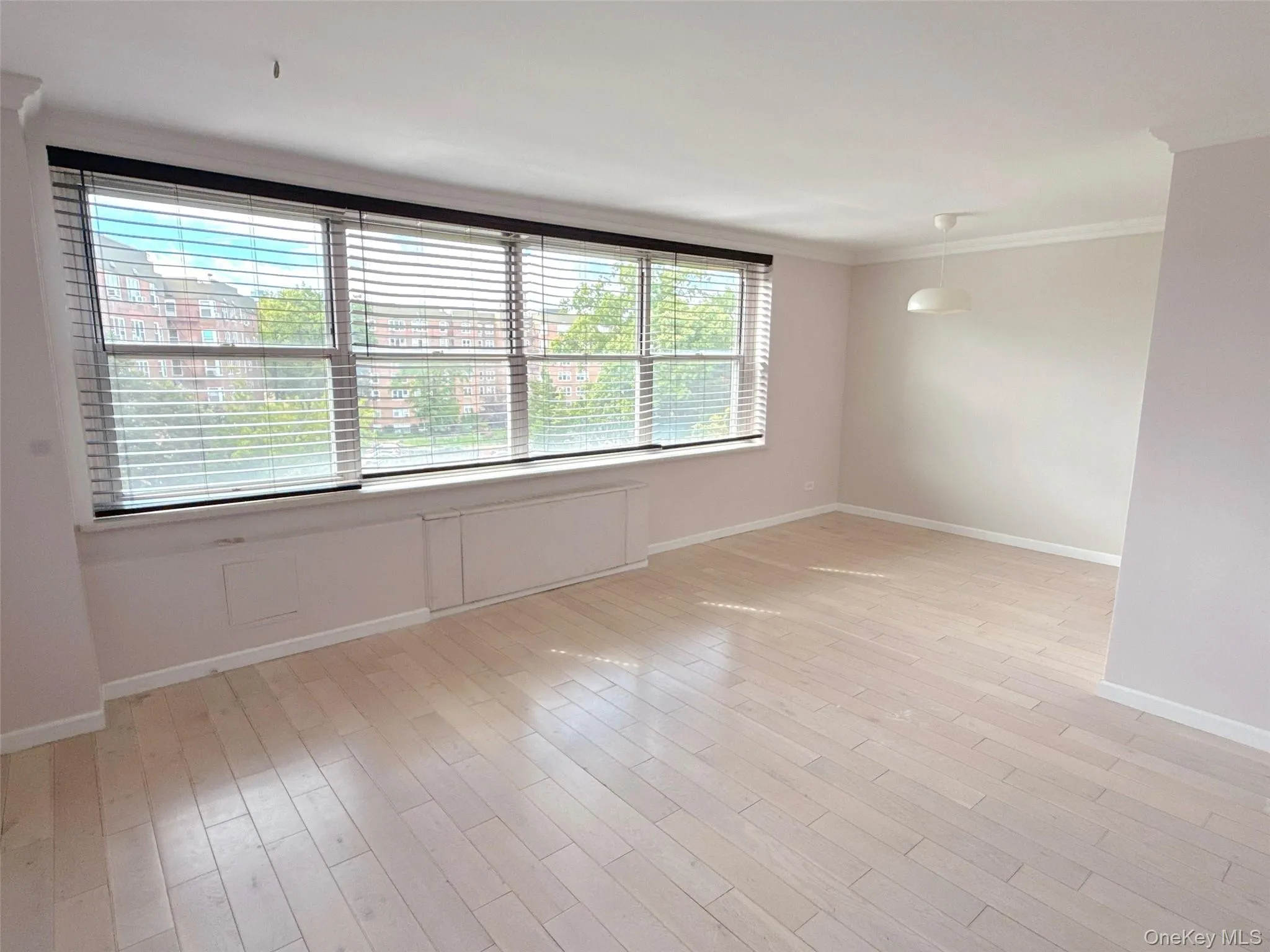18-65 211th Street, New York, NY, 1 Bedroom Bedrooms, 5 Rooms Rooms,1 BathroomBathrooms,Residential,For Rent,211th,0,1028248 18-65 211th Street, New York, NY, 1 Bedroom Bedrooms, 5 Rooms Rooms,1 BathroomBathrooms,Residential,For Rent,211th,0,1028248