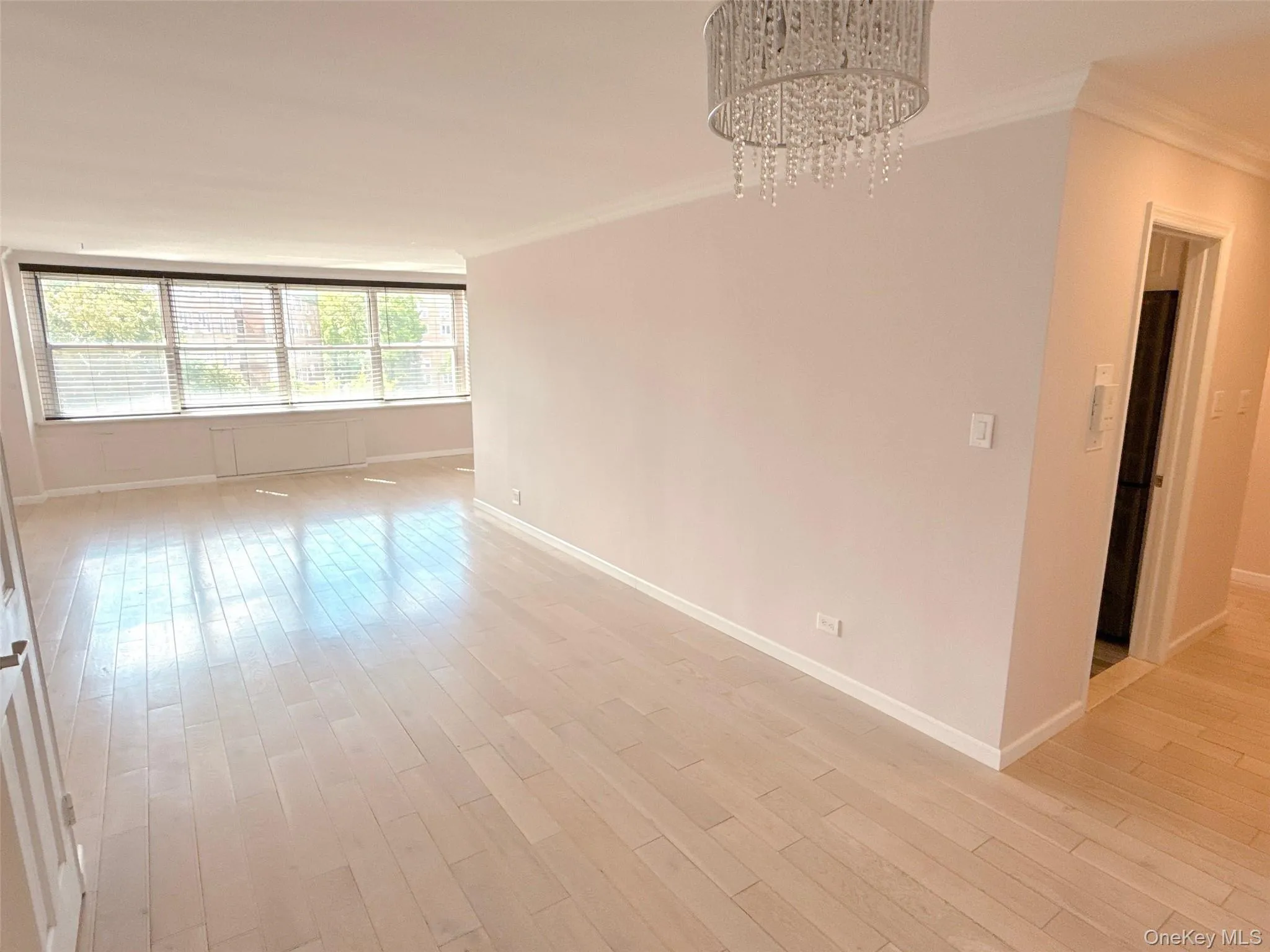 18-65 211th Street, New York, NY, 1 Bedroom Bedrooms, 5 Rooms Rooms,1 BathroomBathrooms,Residential,For Rent,211th,0,1028248 18-65 211th Street, New York, NY, 1 Bedroom Bedrooms, 5 Rooms Rooms,1 BathroomBathrooms,Residential,For Rent,211th,0,1028248