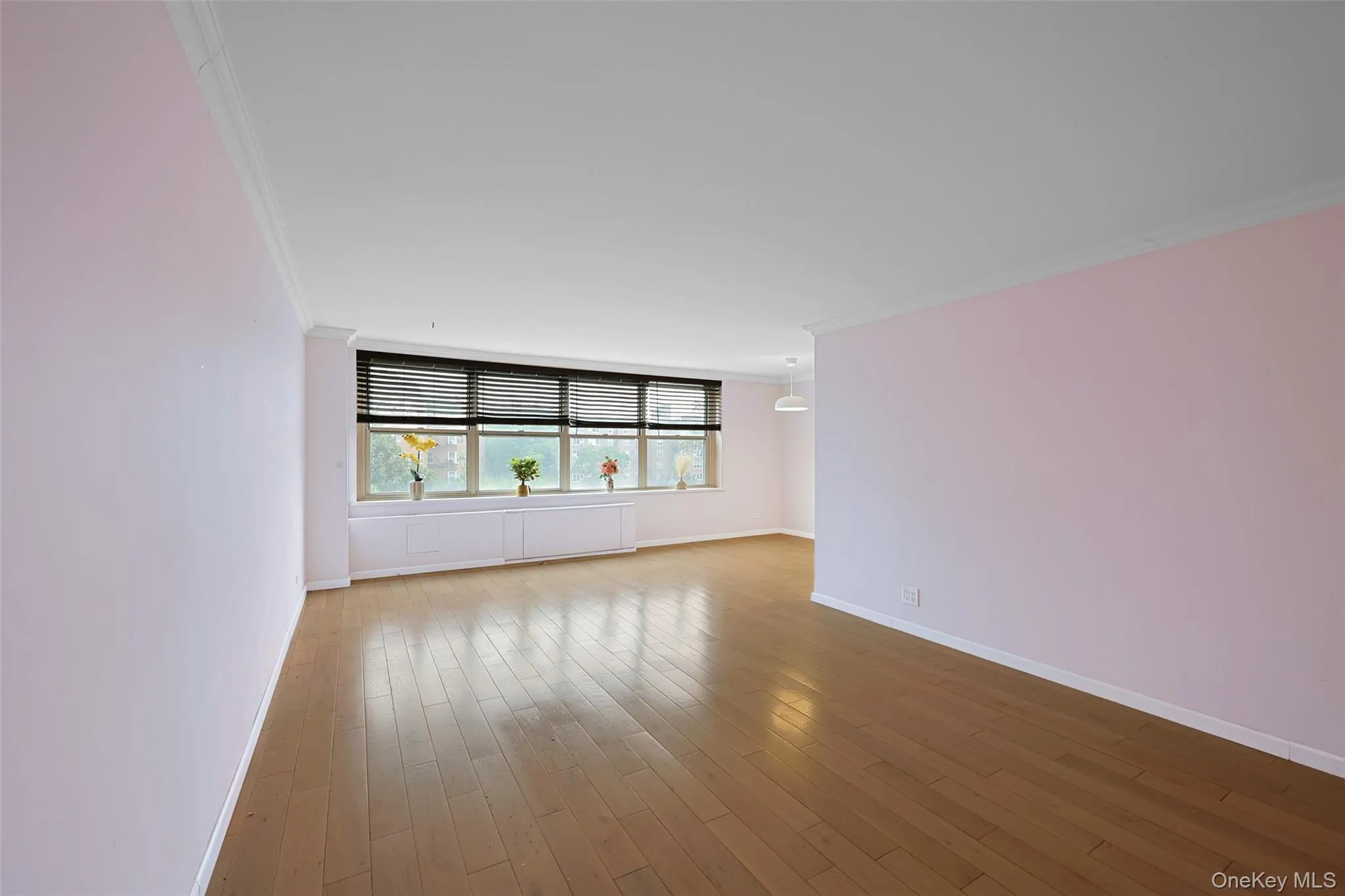 18-65 211th Street, New York, NY, 1 Bedroom Bedrooms, 5 Rooms Rooms,1 BathroomBathrooms,Residential,For Rent,211th,0,1028248 18-65 211th Street, New York, NY, 1 Bedroom Bedrooms, 5 Rooms Rooms,1 BathroomBathrooms,Residential,For Rent,211th,0,1028248