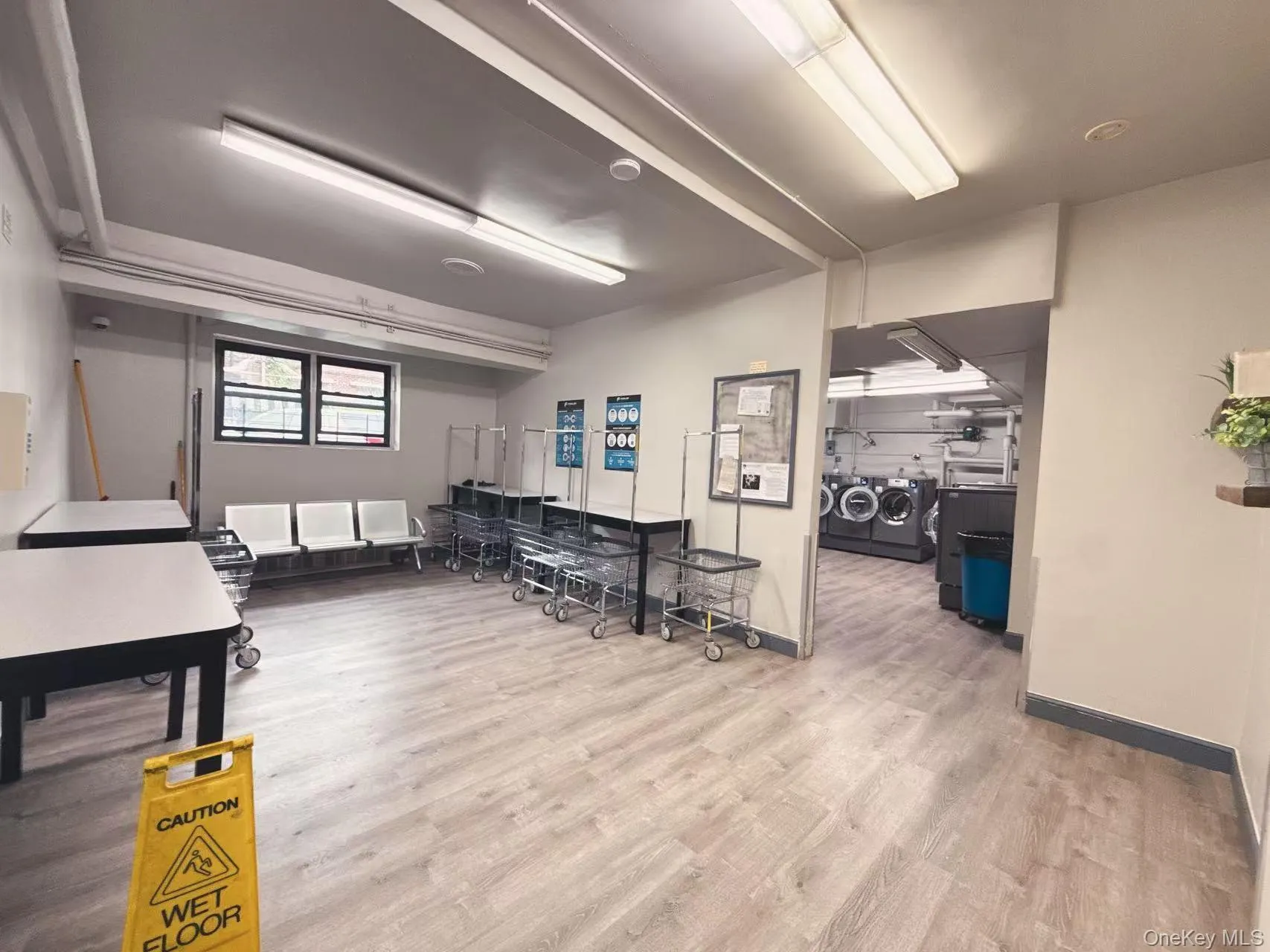 5803 Calloway Street, New York, NY, 1 Bedroom Bedrooms, 4 Rooms Rooms,1 BathroomBathrooms,Residential,For Rent,Calloway,0,1028264 5803 Calloway Street, New York, NY, 1 Bedroom Bedrooms, 4 Rooms Rooms,1 BathroomBathrooms,Residential,For Rent,Calloway,0,1028264