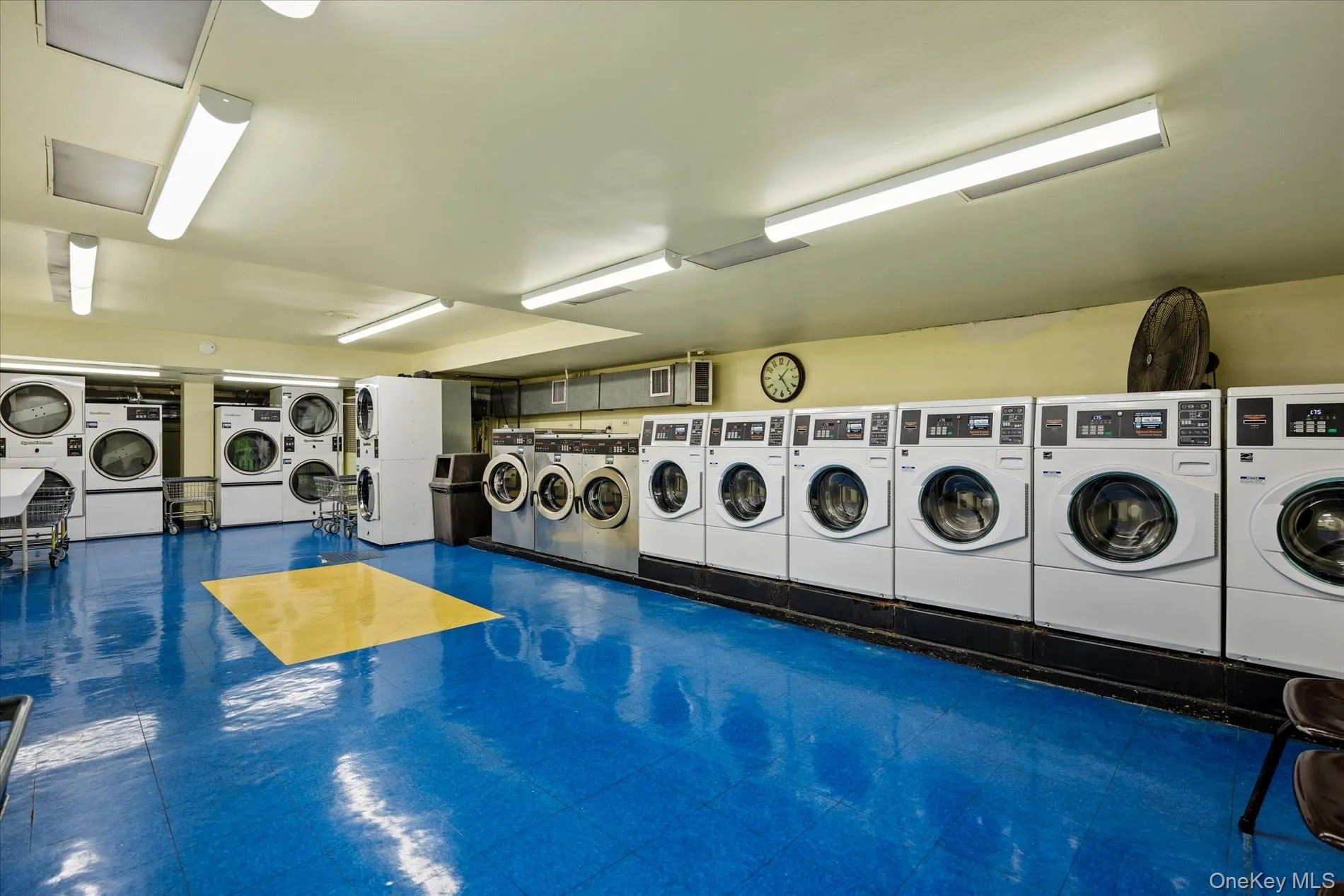 139-15 83rd Avenue, New York, NY, 3 Bedrooms Bedrooms, 6 Rooms Rooms,1 BathroomBathrooms,Residential,For Rent,83rd,0,1028285 139-15 83rd Avenue, New York, NY, 3 Bedrooms Bedrooms, 6 Rooms Rooms,1 BathroomBathrooms,Residential,For Rent,83rd,0,1028285