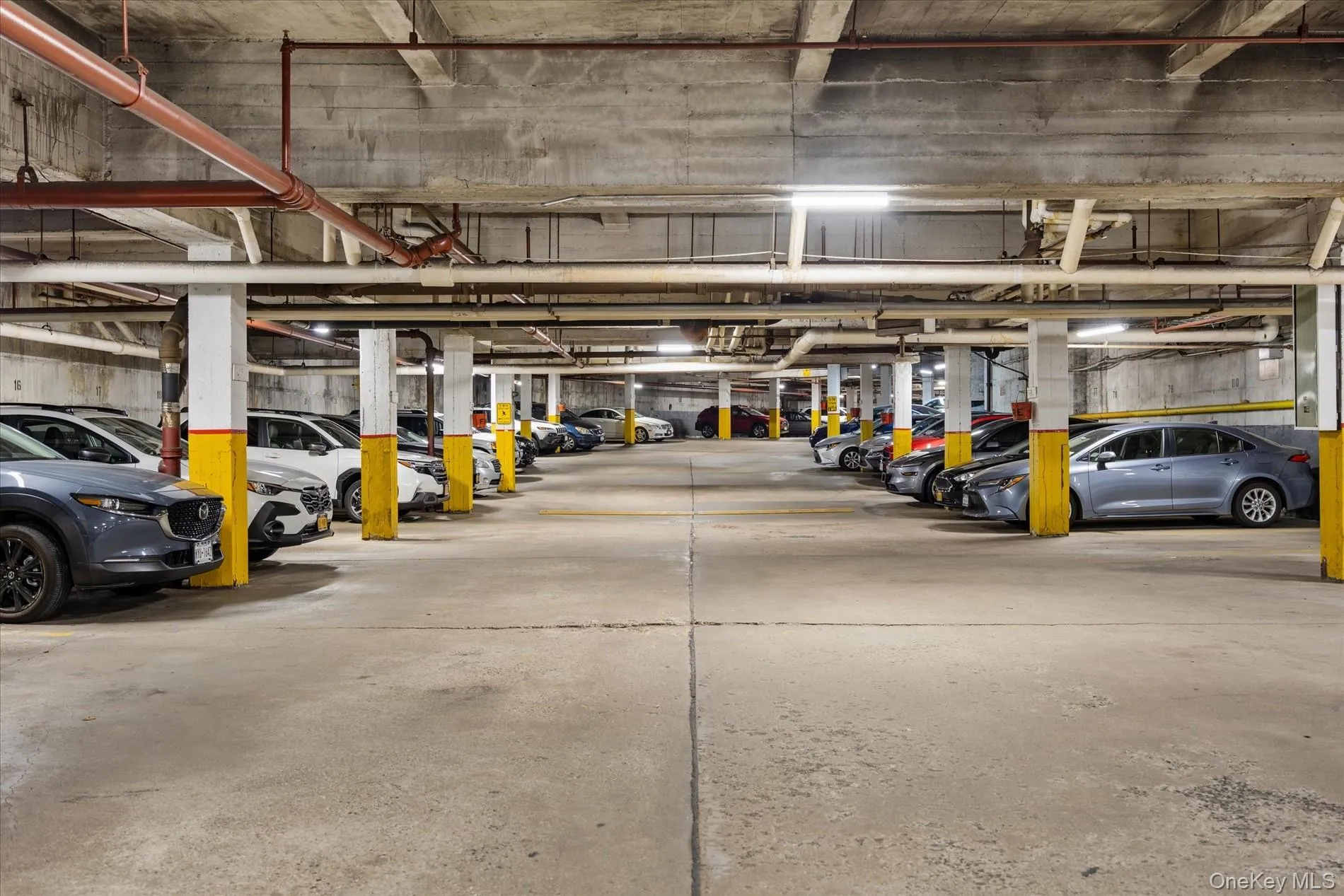 139-15 83rd Avenue, New York, NY, 3 Bedrooms Bedrooms, 6 Rooms Rooms,1 BathroomBathrooms,Residential,For Rent,83rd,0,1028285 139-15 83rd Avenue, New York, NY, 3 Bedrooms Bedrooms, 6 Rooms Rooms,1 BathroomBathrooms,Residential,For Rent,83rd,0,1028285