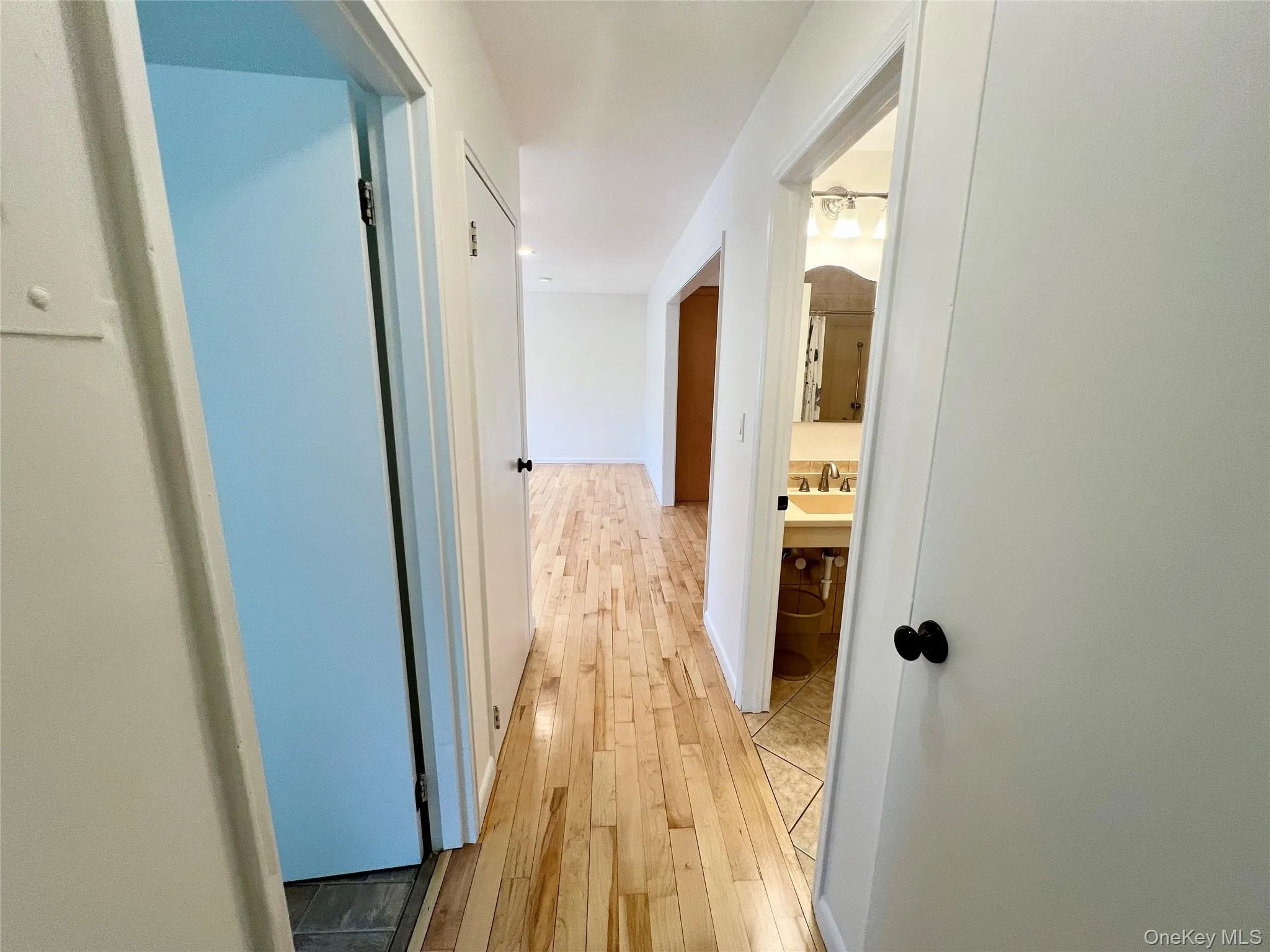 Hallway with large closet Hallway with large closet