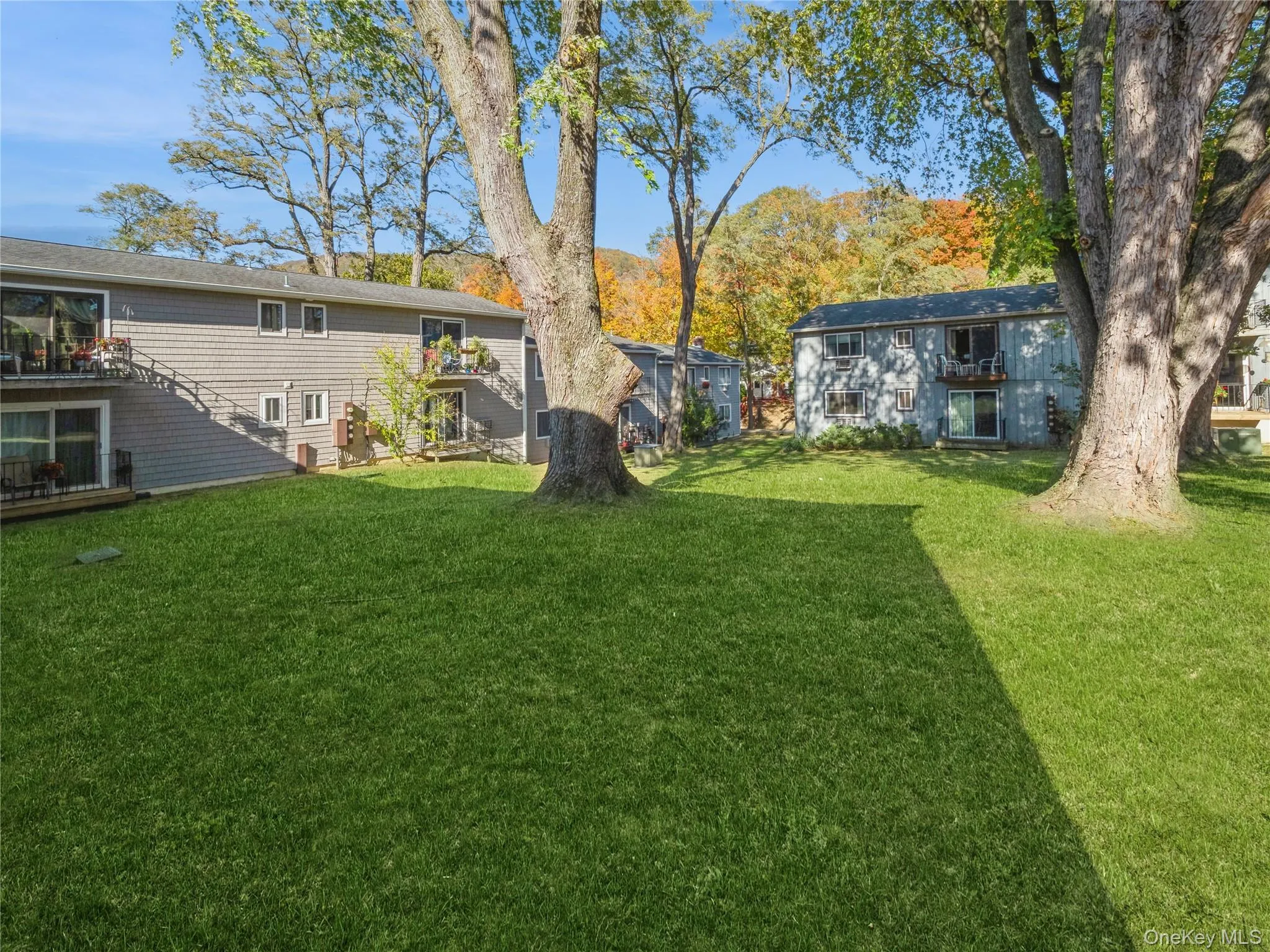 View of yard View of yard