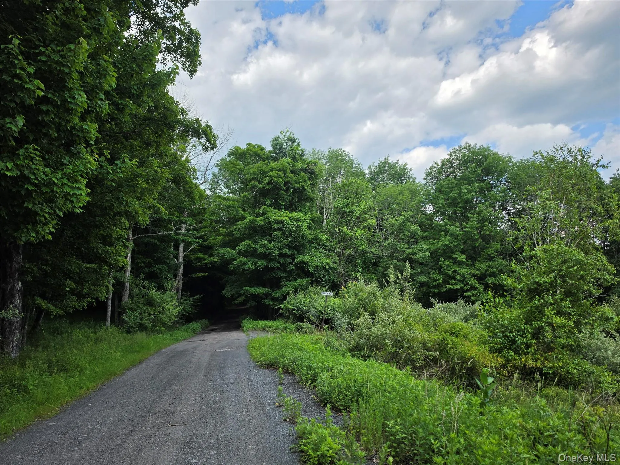 TBD Timberwolf Road, Liberty, NY, ,Land,For Rent,Timberwolf,0,1028302 TBD Timberwolf Road, Liberty, NY, ,Land,For Rent,Timberwolf,0,1028302