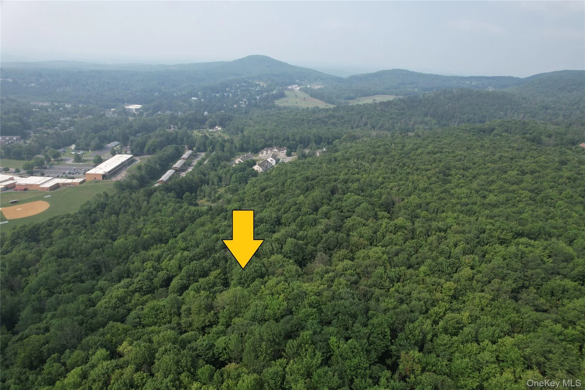 TBD Timberwolf Road, Liberty, NY, ,Land,For Rent,Timberwolf,0,1028302 TBD Timberwolf Road, Liberty, NY, ,Land,For Rent,Timberwolf,0,1028302