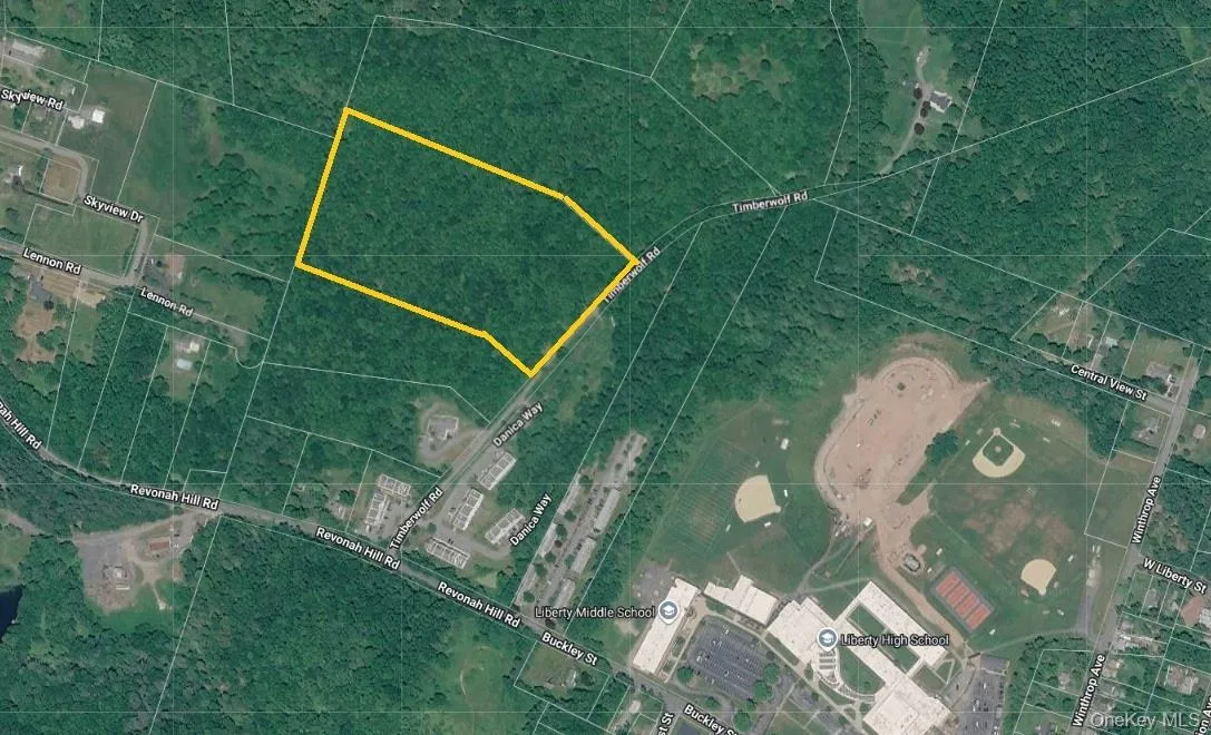 TBD Timberwolf Road, Liberty, NY, ,Land,For Rent,Timberwolf,0,1028302 TBD Timberwolf Road, Liberty, NY, ,Land,For Rent,Timberwolf,0,1028302