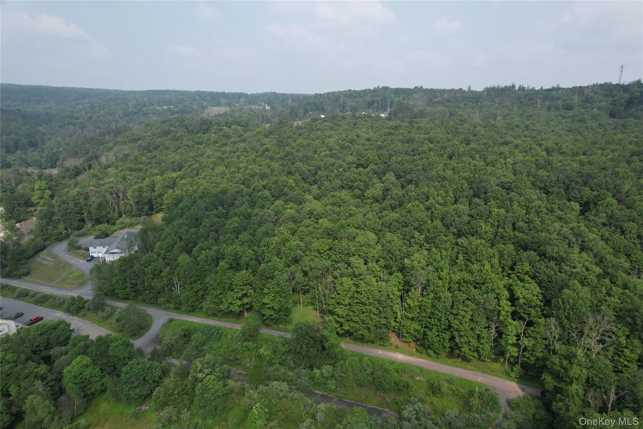 TBD Timberwolf Road, Liberty, NY, ,Land,For Rent,Timberwolf,0,1028302 TBD Timberwolf Road, Liberty, NY, ,Land,For Rent,Timberwolf,0,1028302