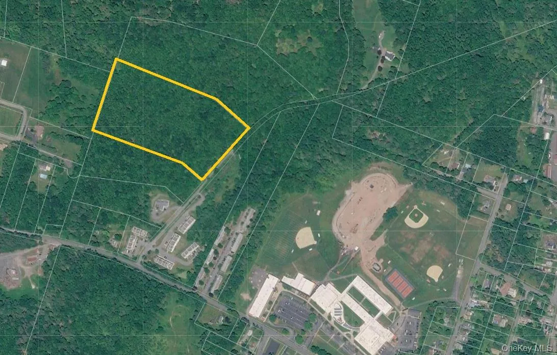TBD Timberwolf Road, Liberty, NY, ,Land,For Rent,Timberwolf,0,1028302 TBD Timberwolf Road, Liberty, NY, ,Land,For Rent,Timberwolf,0,1028302