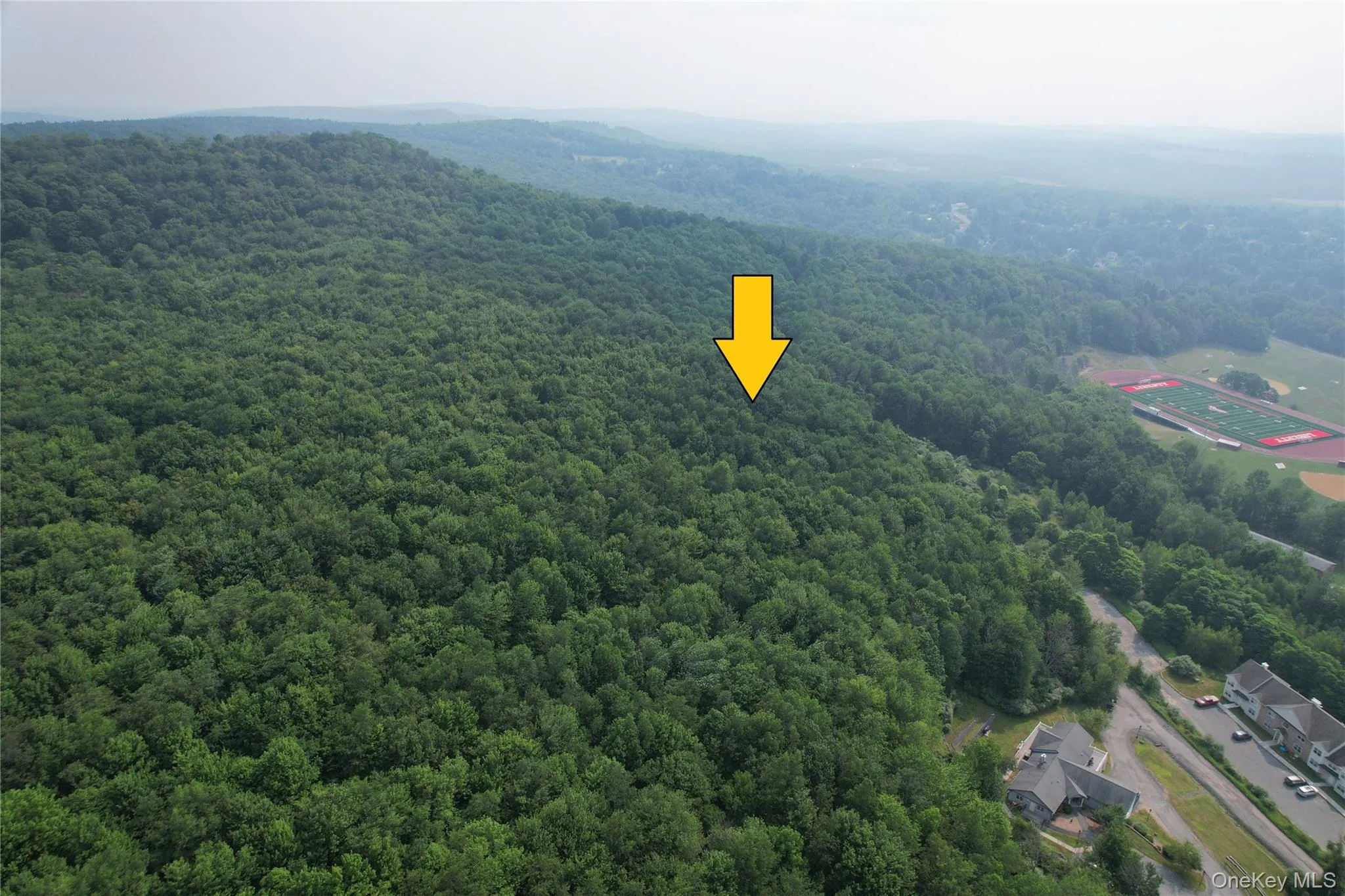 TBD Timberwolf Road, Liberty, NY, ,Land,For Rent,Timberwolf,0,1028302 TBD Timberwolf Road, Liberty, NY, ,Land,For Rent,Timberwolf,0,1028302