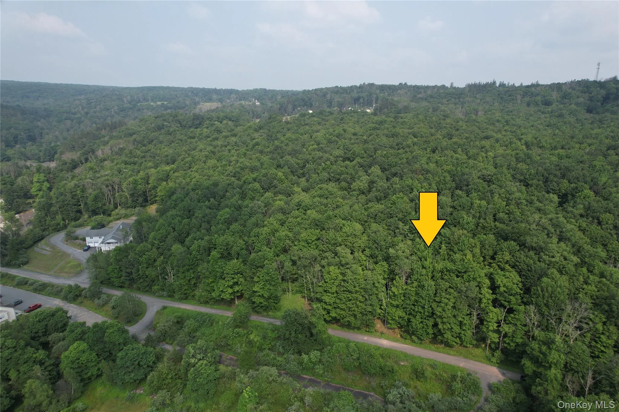 TBD Timberwolf Road, Liberty, NY, ,Land,For Rent,Timberwolf,0,1028302 TBD Timberwolf Road, Liberty, NY, ,Land,For Rent,Timberwolf,0,1028302