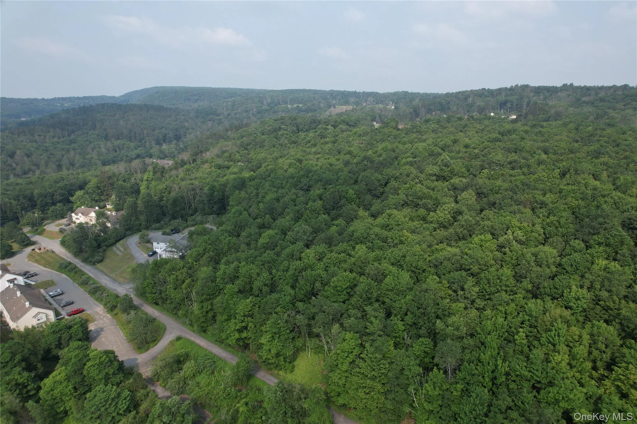TBD Timberwolf Road, Liberty, NY, ,Land,For Rent,Timberwolf,0,1028302 TBD Timberwolf Road, Liberty, NY, ,Land,For Rent,Timberwolf,0,1028302
