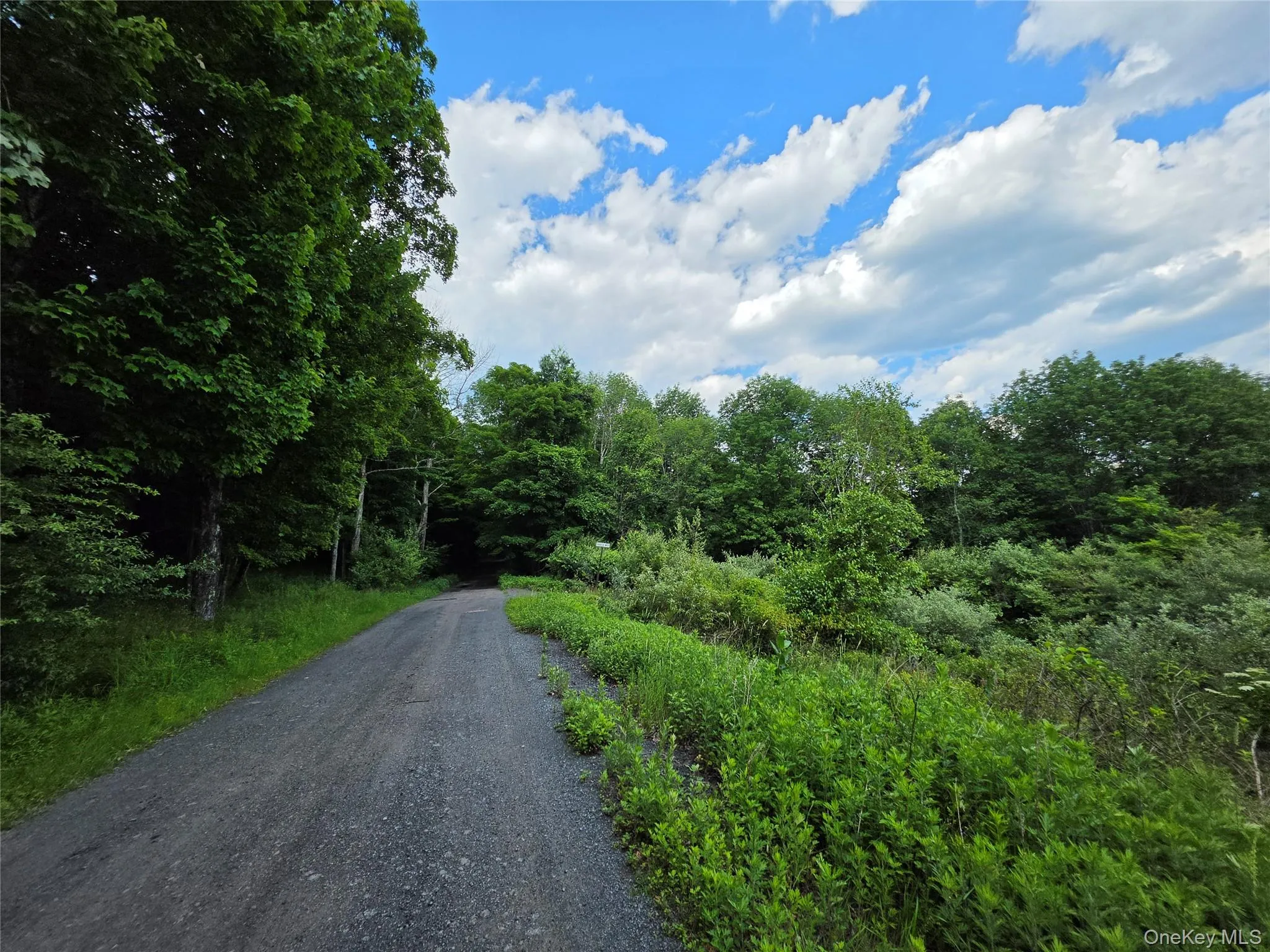 TBD Timberwolf Road, Liberty, NY, ,Land,For Rent,Timberwolf,0,1028302 TBD Timberwolf Road, Liberty, NY, ,Land,For Rent,Timberwolf,0,1028302