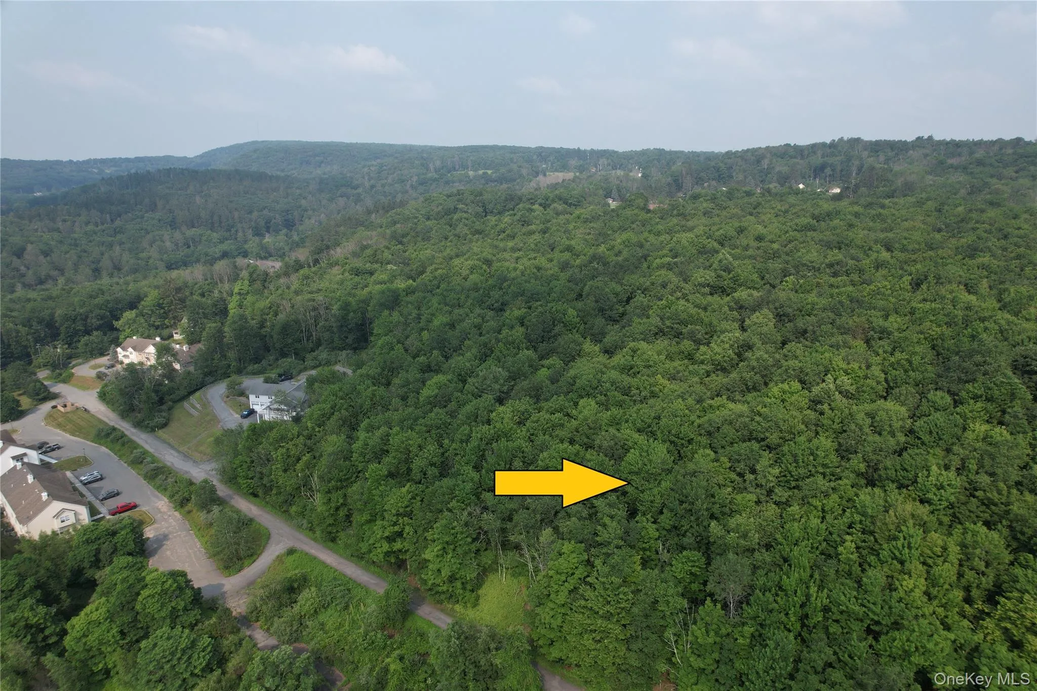TBD Timberwolf Road, Liberty, NY, ,Land,For Rent,Timberwolf,0,1028302 TBD Timberwolf Road, Liberty, NY, ,Land,For Rent,Timberwolf,0,1028302