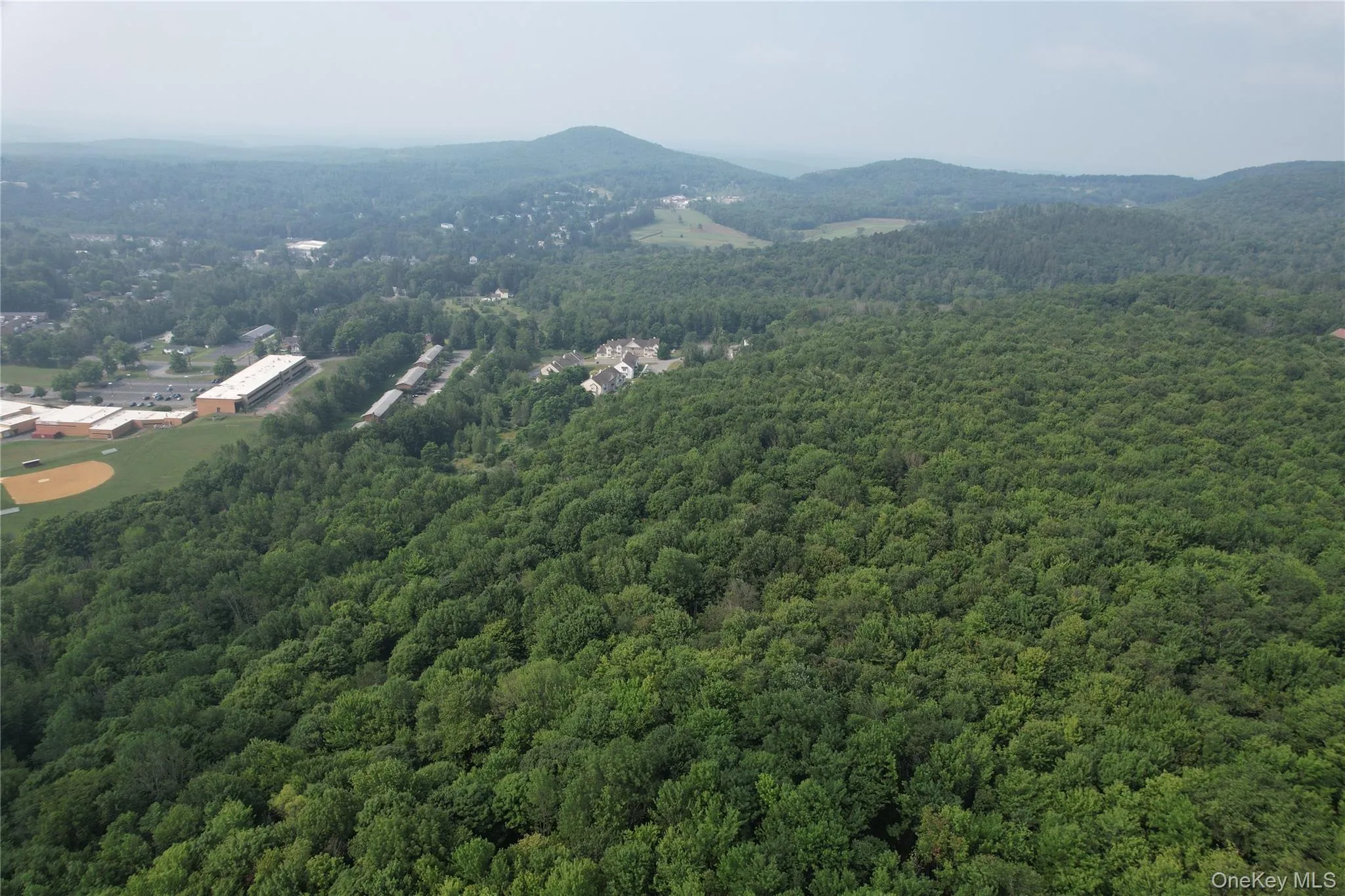 TBD Timberwolf Road, Liberty, NY, ,Land,For Rent,Timberwolf,0,1028302 TBD Timberwolf Road, Liberty, NY, ,Land,For Rent,Timberwolf,0,1028302