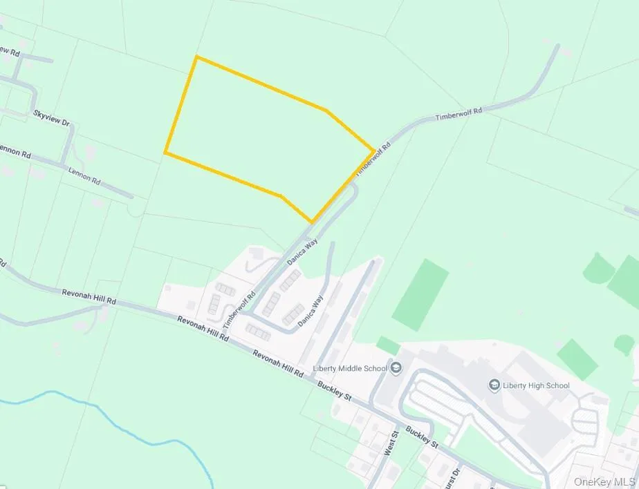 TBD Timberwolf Road, Liberty, NY, ,Land,For Rent,Timberwolf,0,1028302 TBD Timberwolf Road, Liberty, NY, ,Land,For Rent,Timberwolf,0,1028302