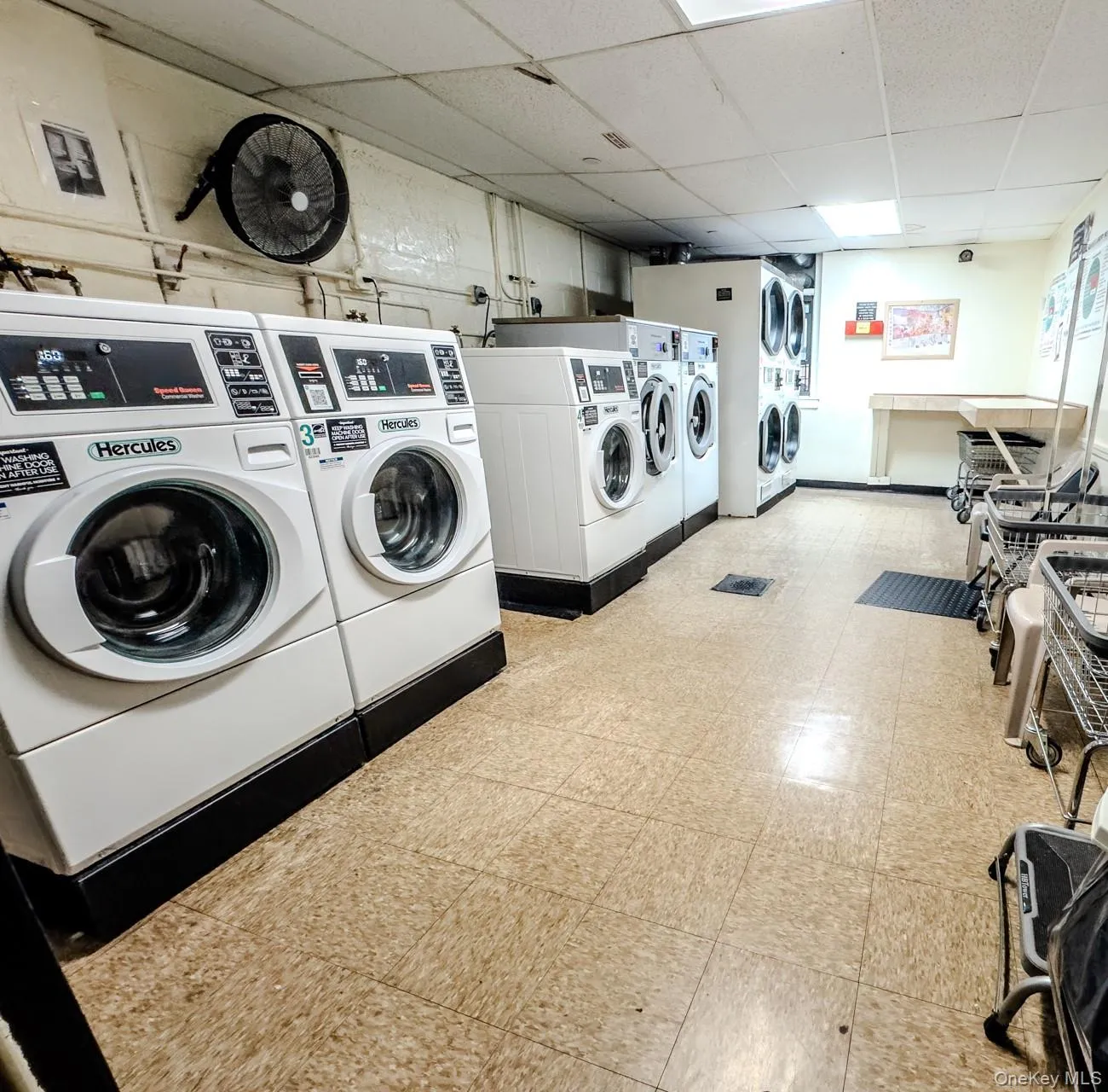 2015 Saint Paul Ave, New York, NY, 2 Rooms Rooms,1 BathroomBathrooms,Residential,For Rent,Saint Paul Ave,0,1028317 2015 Saint Paul Ave, New York, NY, 2 Rooms Rooms,1 BathroomBathrooms,Residential,For Rent,Saint Paul Ave,0,1028317