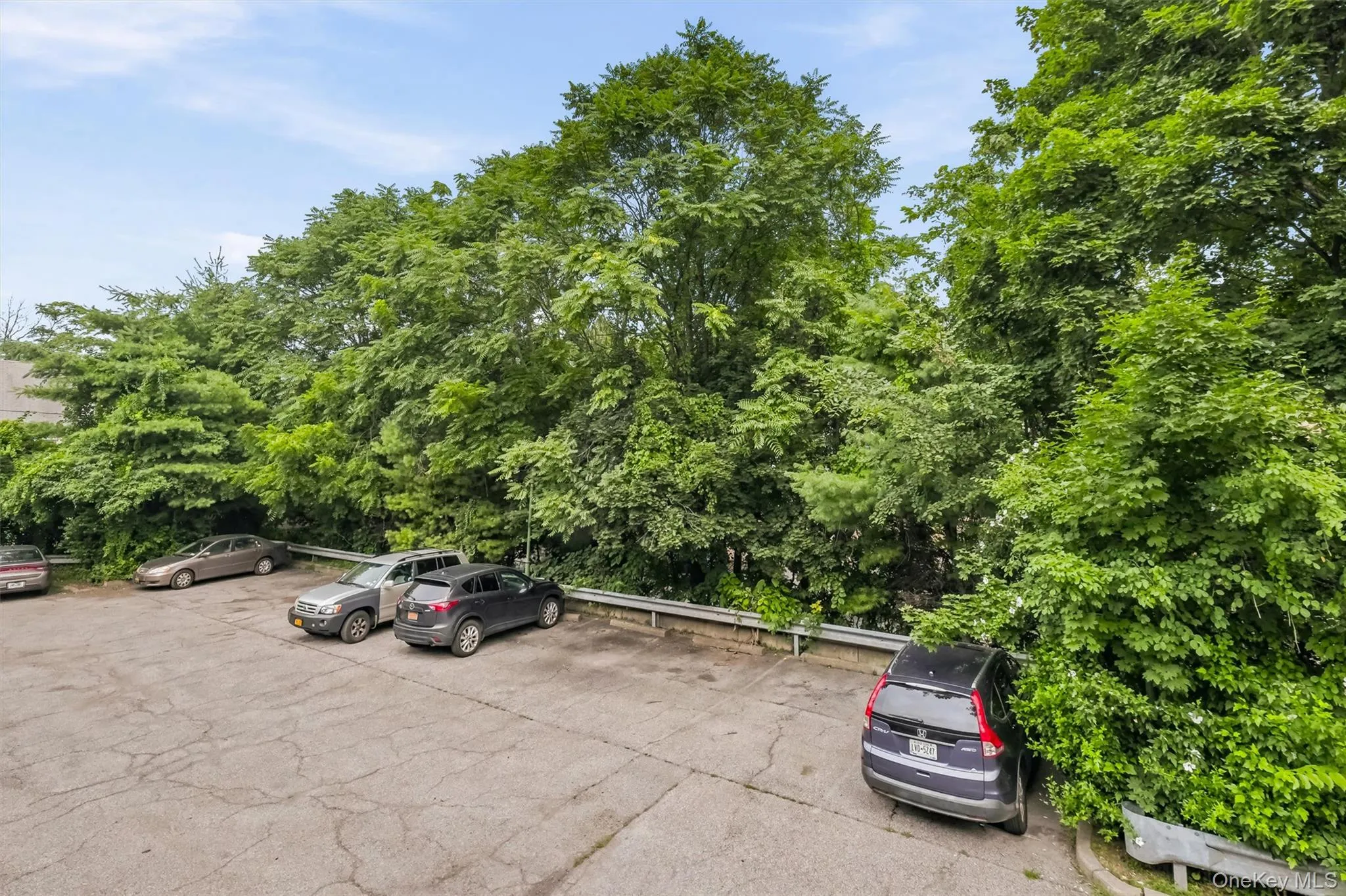 1630 Park Street, Peekskill, NY, 2 Bedrooms Bedrooms, 5 Rooms Rooms,1 BathroomBathrooms,Residential,For Rent,Park,0,1028318 1630 Park Street, Peekskill, NY, 2 Bedrooms Bedrooms, 5 Rooms Rooms,1 BathroomBathrooms,Residential,For Rent,Park,0,1028318
