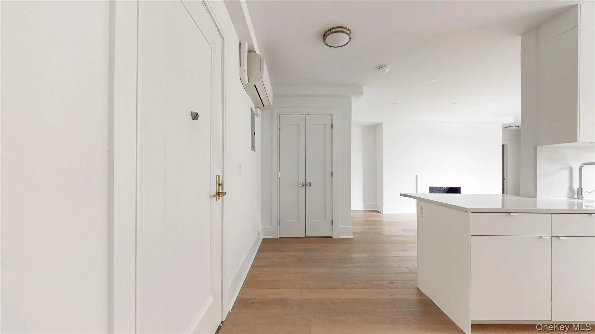 Entryway featuring wood-finish flooring extending into the main living space, white panel doors, and a ceiling-mounted light fixture Entryway featuring wood-finish flooring extending into the main living space, white panel doors, and a ceiling-mounted light fixture