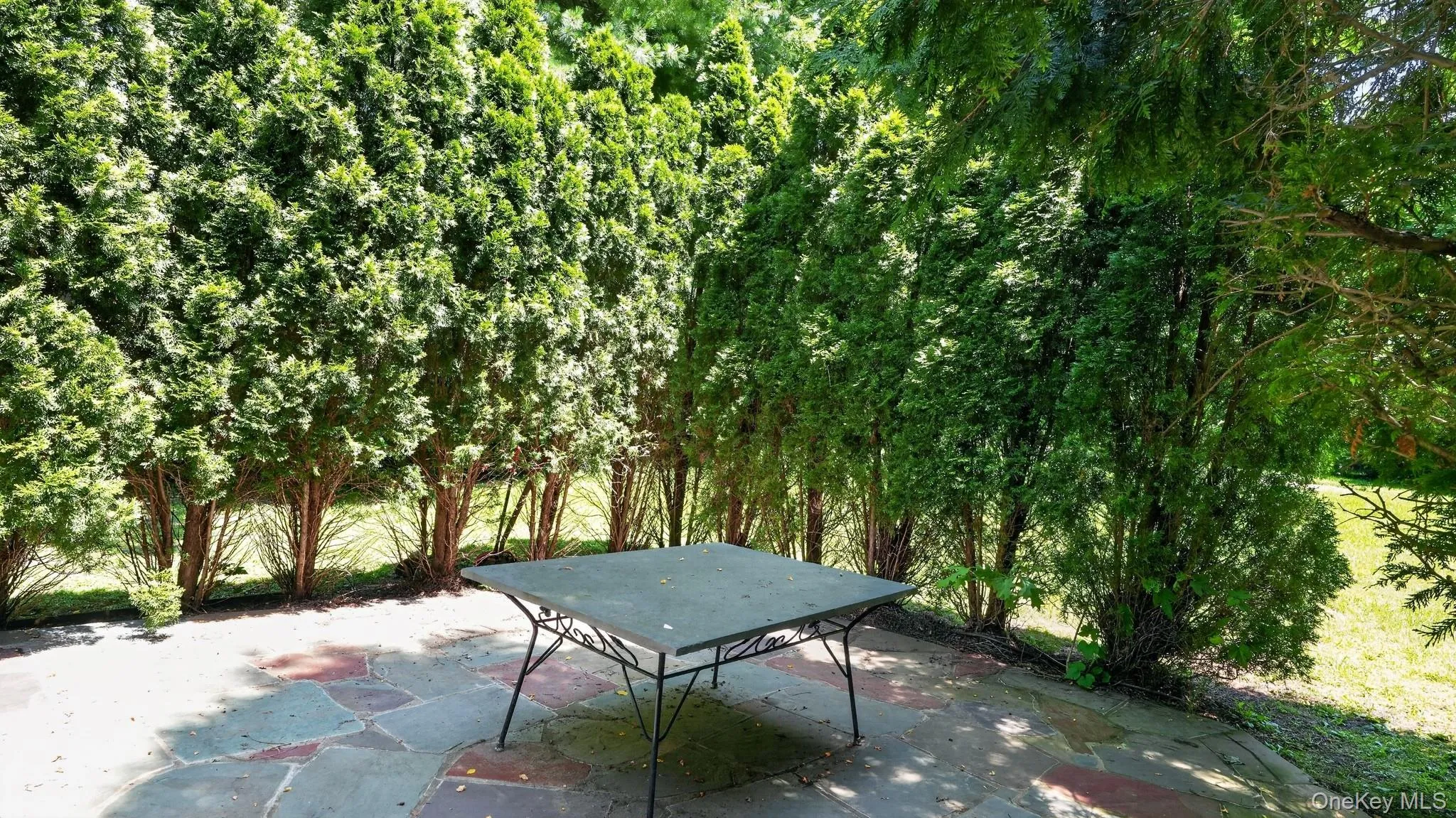 1058 PLANDOME Road, North Hempstead, NY, 2 Bedrooms Bedrooms, 5 Rooms Rooms,2 BathroomsBathrooms,Residential Lease,For Rent,PLANDOME,0,1028431 1058 PLANDOME Road, North Hempstead, NY, 2 Bedrooms Bedrooms, 5 Rooms Rooms,2 BathroomsBathrooms,Residential Lease,For Rent,PLANDOME,0,1028431