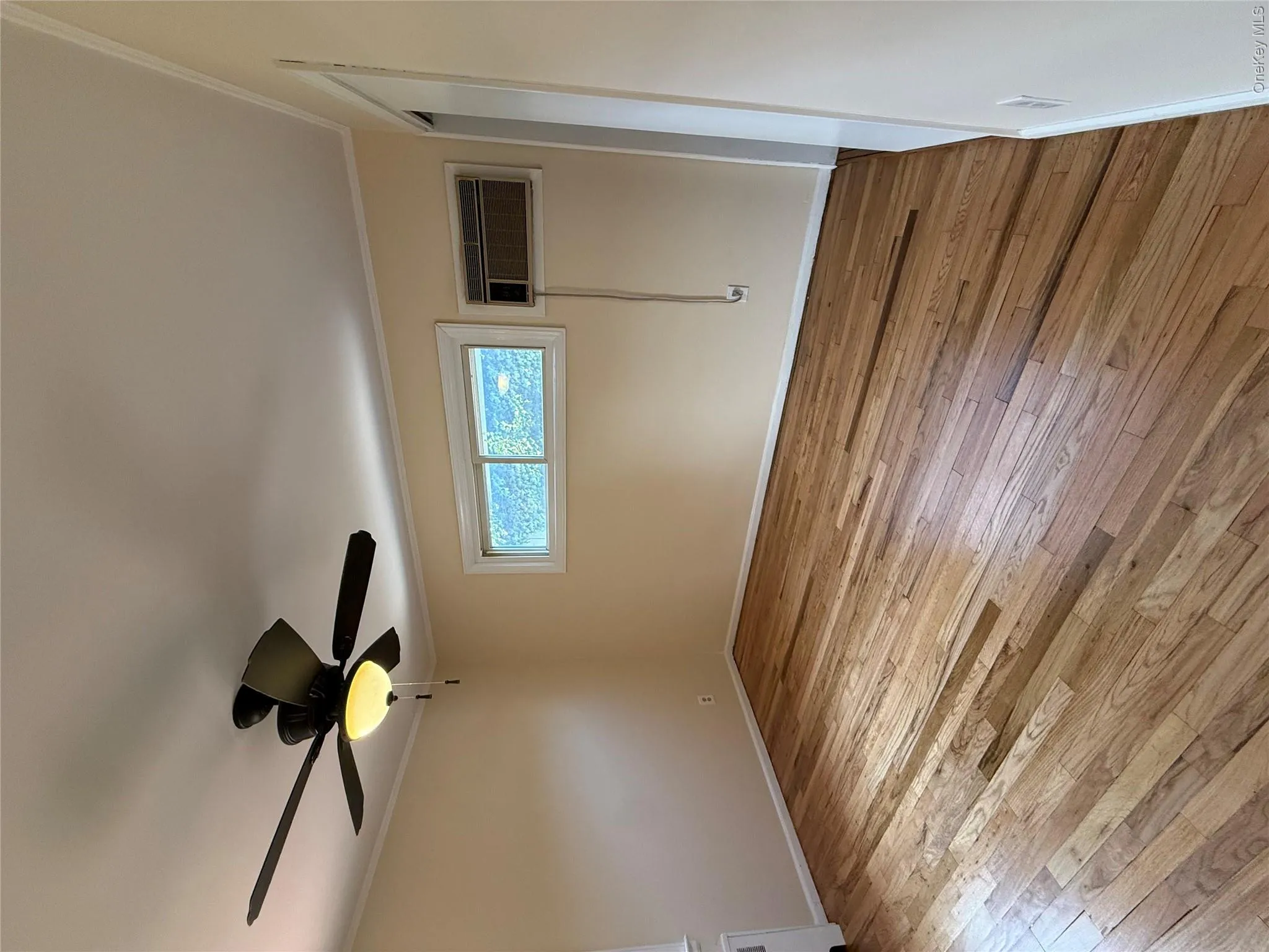 61 wall, Babylon, NY, 3 Bedrooms Bedrooms, 3 Rooms Rooms,2 BathroomsBathrooms,Residential Lease,For Rent,wall,0,1028433 61 wall, Babylon, NY, 3 Bedrooms Bedrooms, 3 Rooms Rooms,2 BathroomsBathrooms,Residential Lease,For Rent,wall,0,1028433